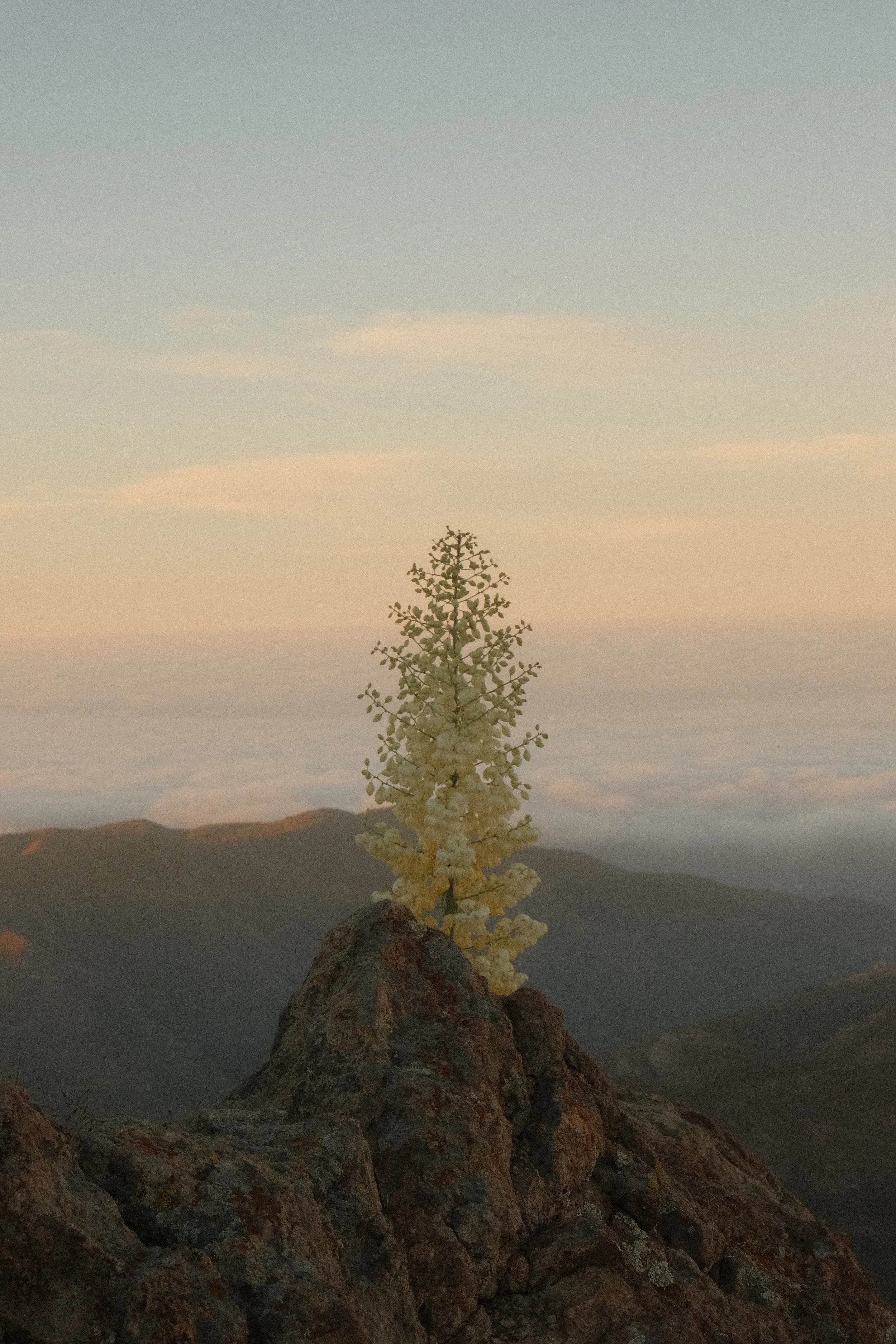 Malibu, California