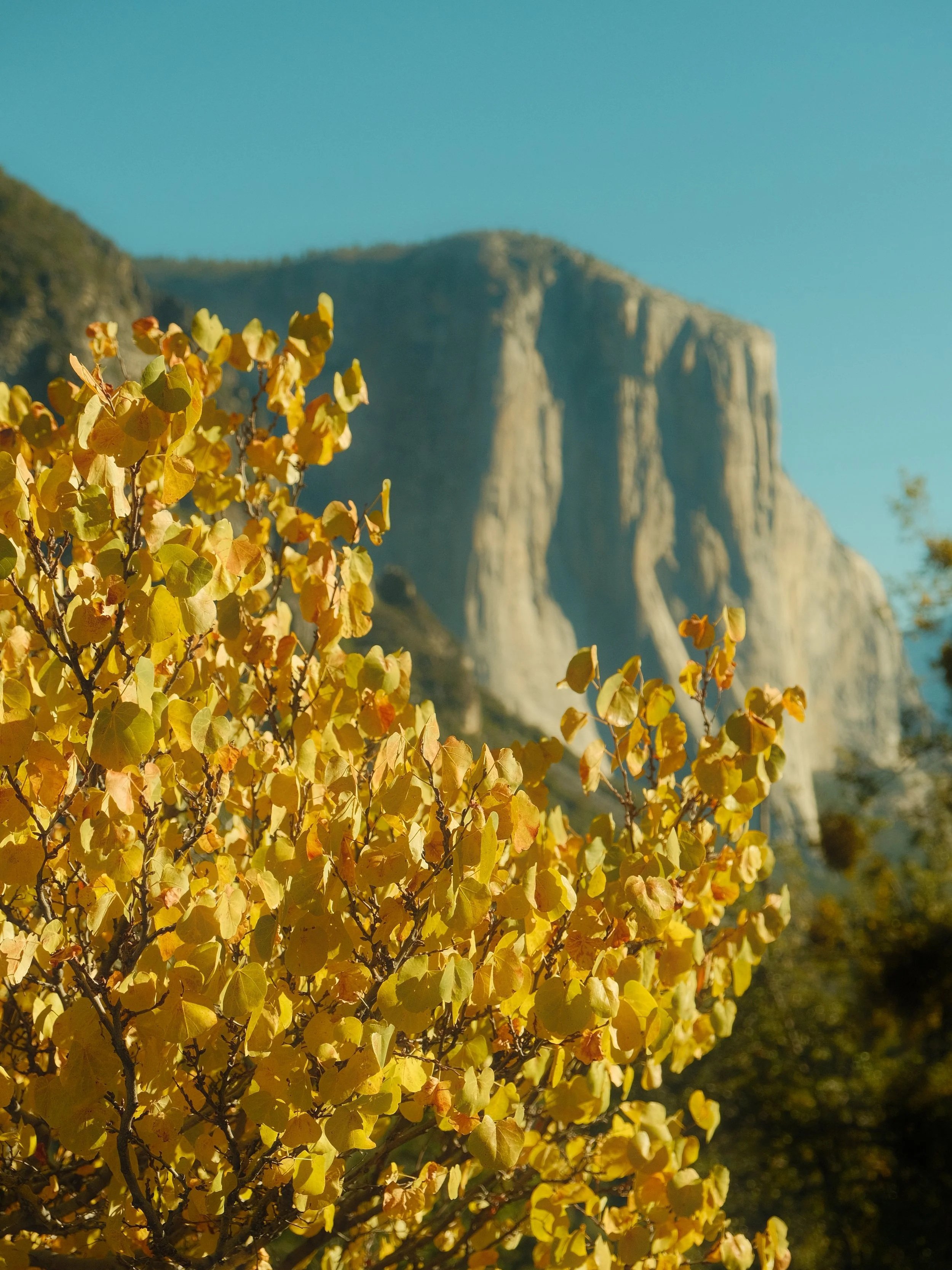 Yosemite National Park, California