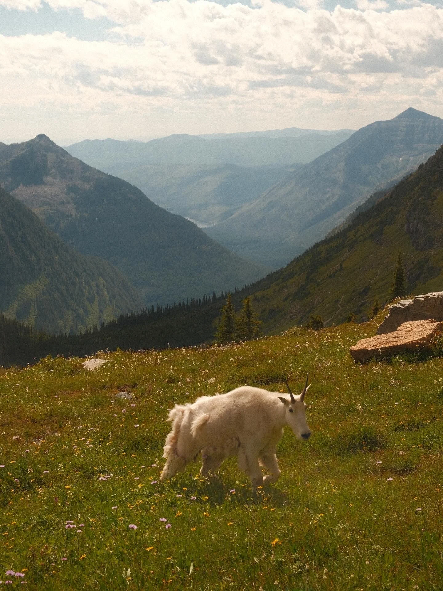 Glacier National Park, Montana