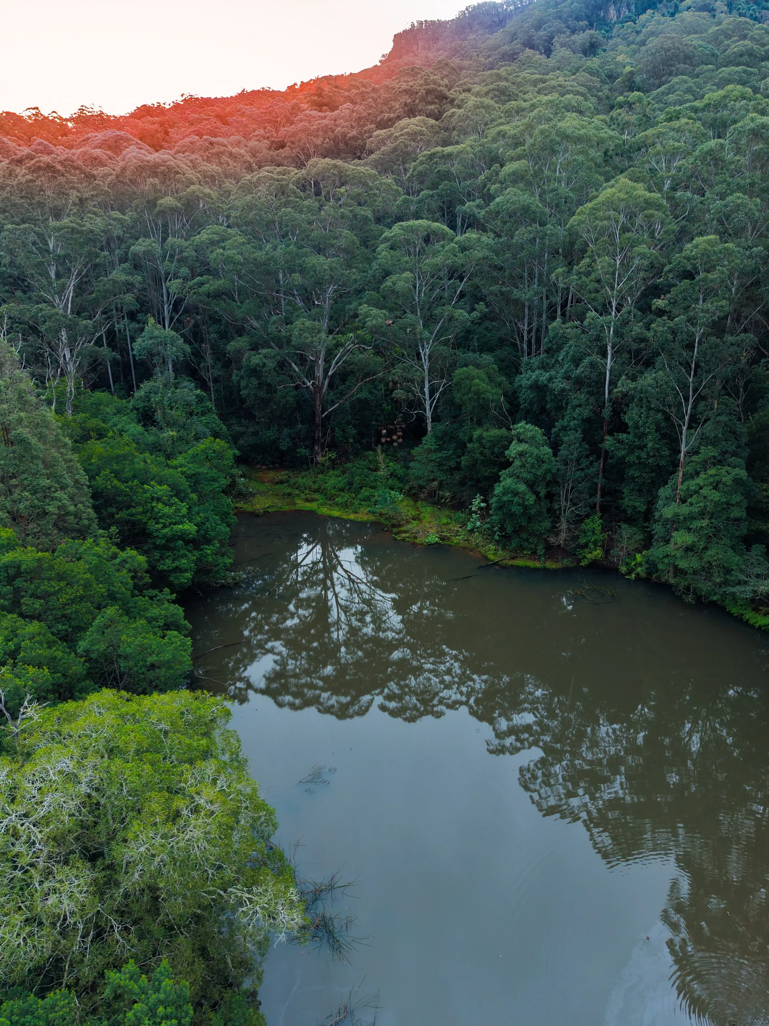 A few aerial shots from around the property at Kangaroo valley! The escarpment around this building is going to be unbelievable