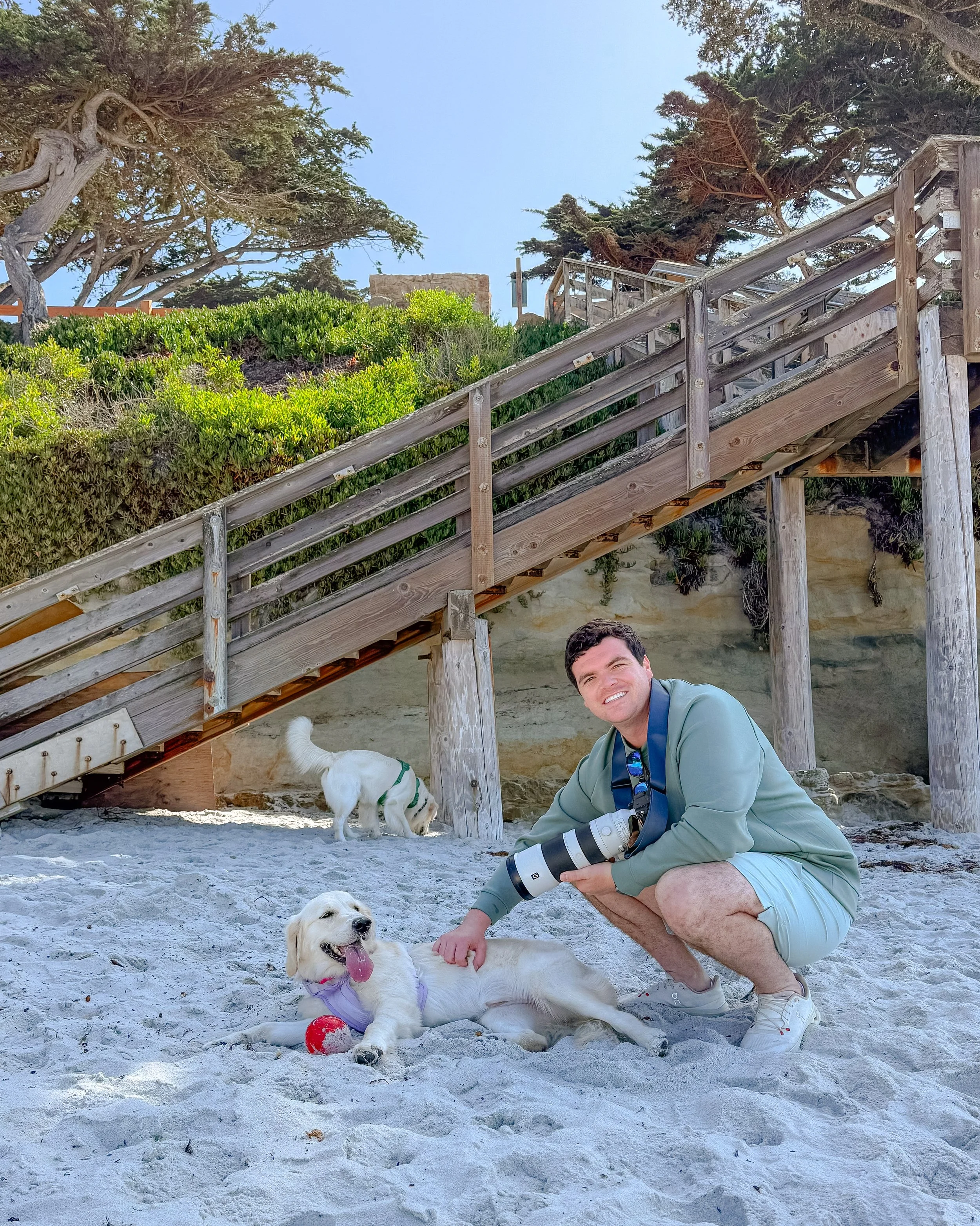 A man with a camera kneeling on the sand next to a lying golden retriever puppy with a red ball, and another dog sniffing the ground near a wooden staircase on a beach.