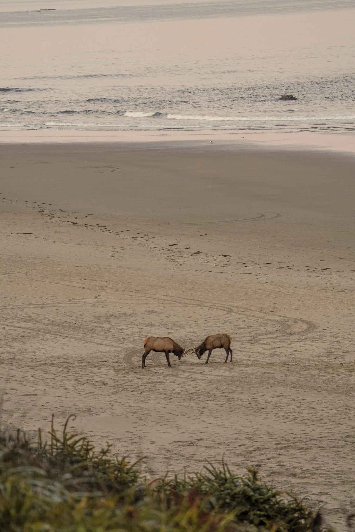 A Fall Morning in Cannon Beach 