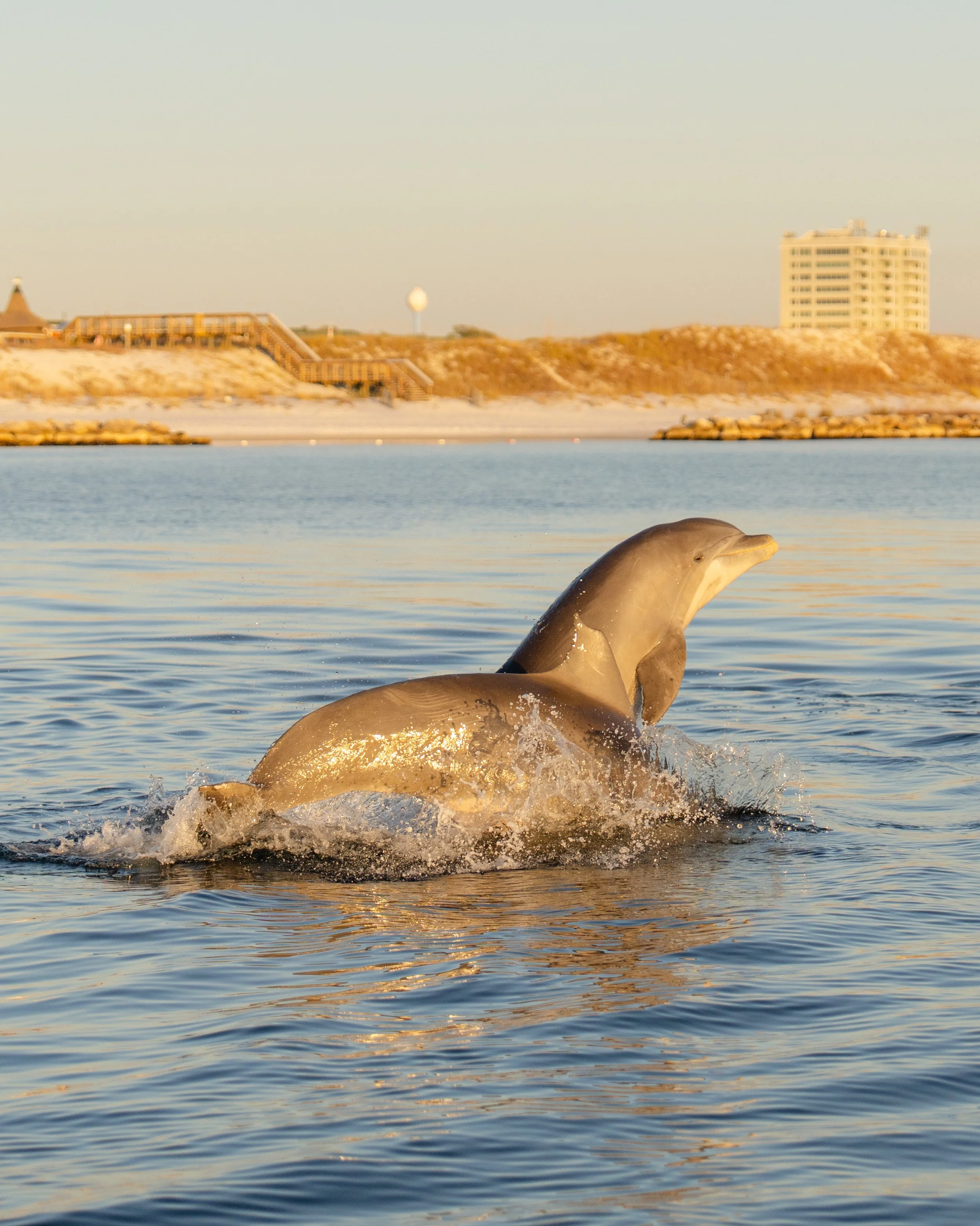 A Sunset with the Locals 
