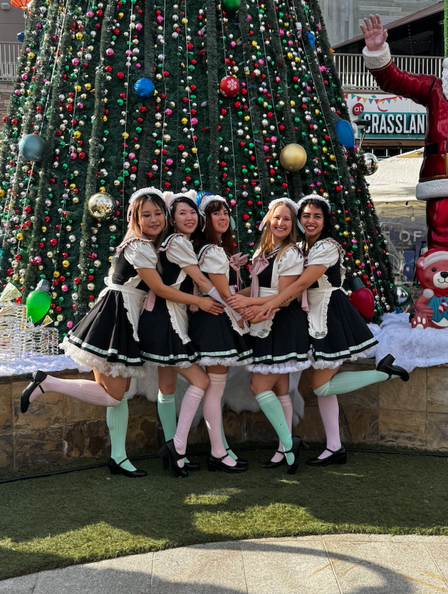 Winter Wonderland at Taste of Japan