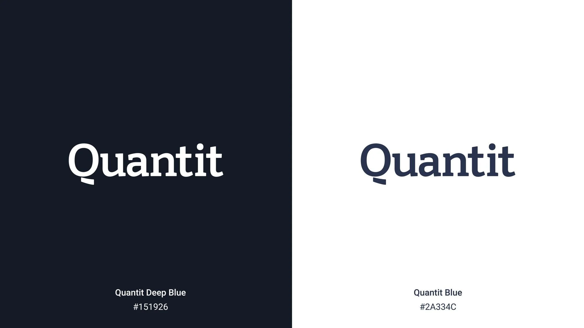 Quantit-Branding-Guide6.jpg