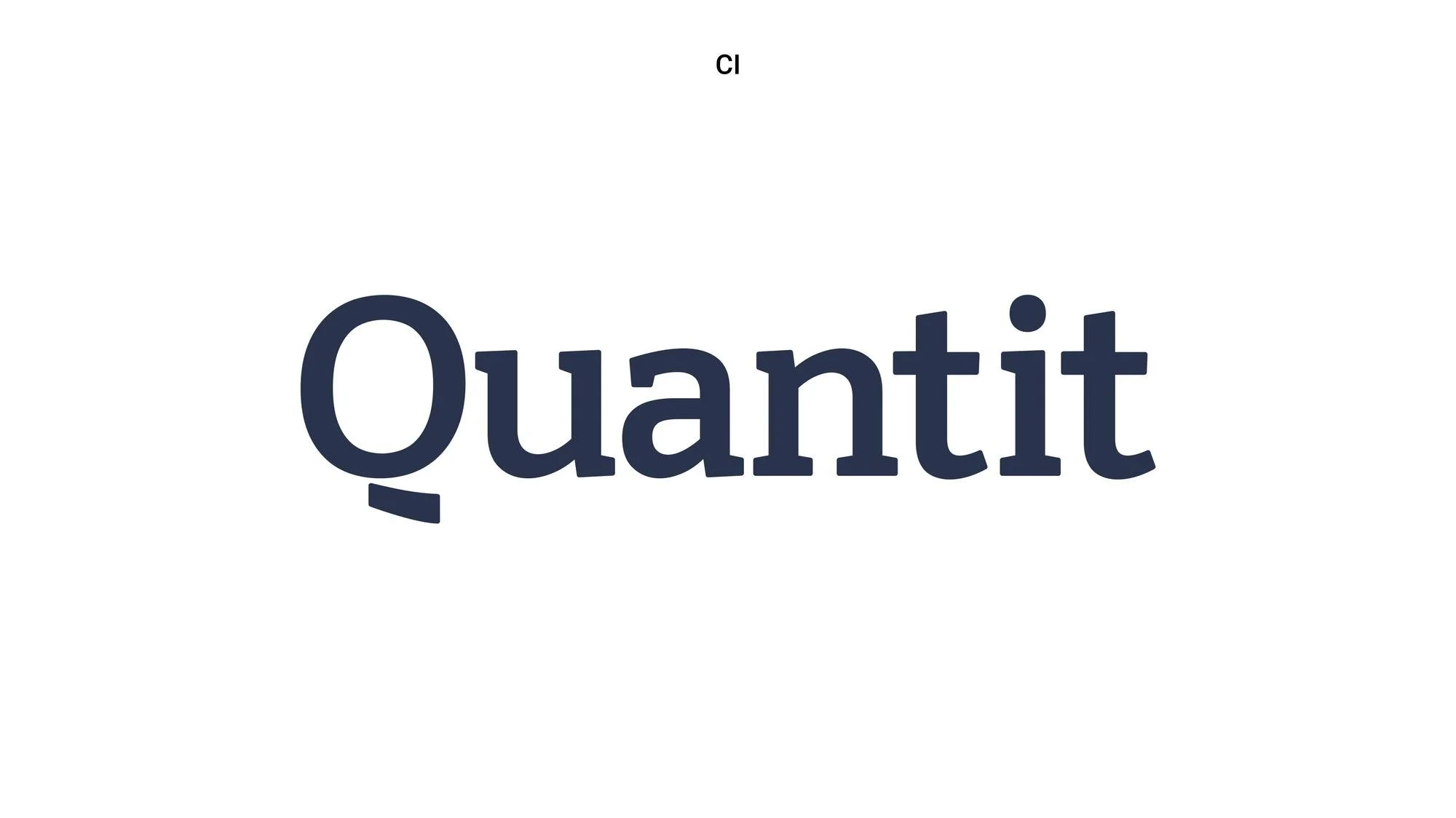 Quantit-Branding-Guide5.jpg