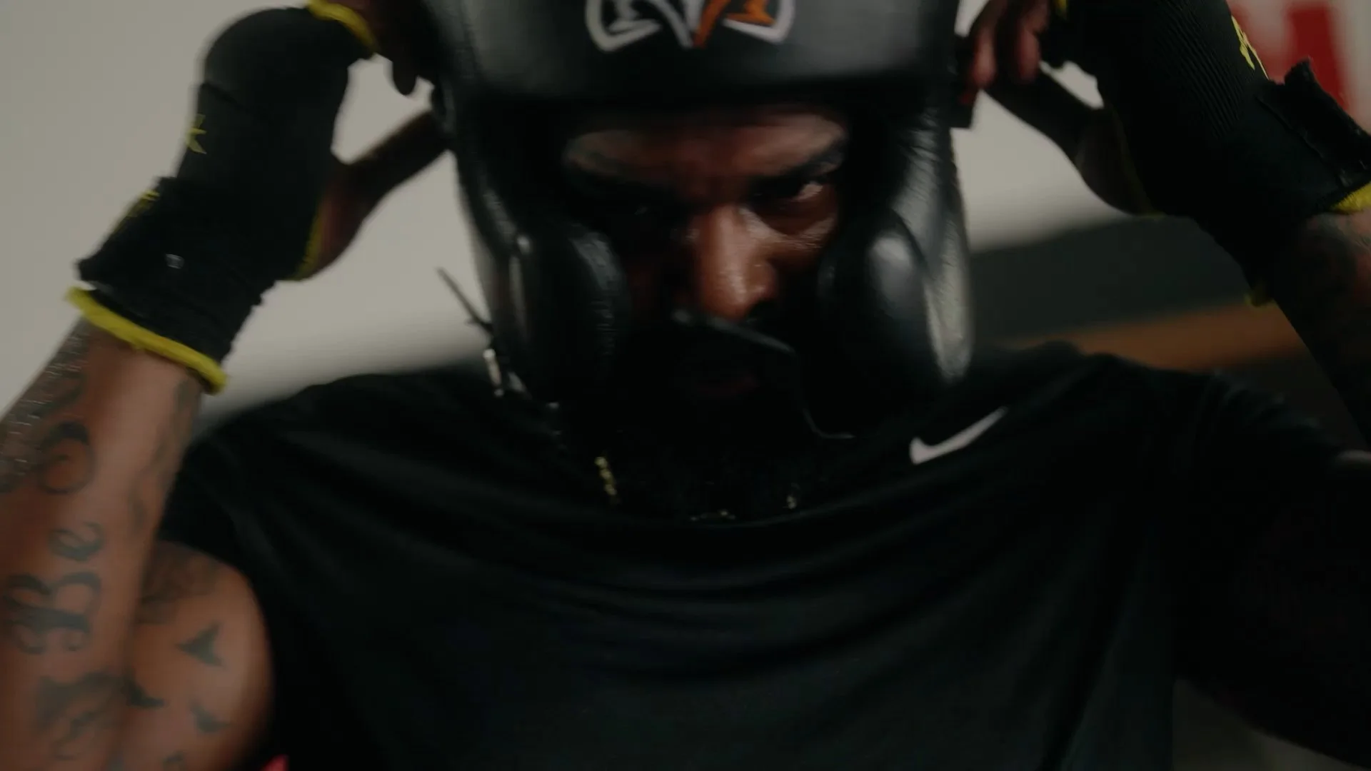 A modern wooden house with a flat roof set in a grassy field beside a lake, with mountains in the background and a cloudy sky.