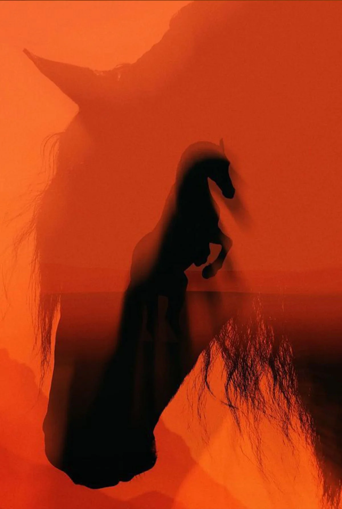 Cinematic horse scene