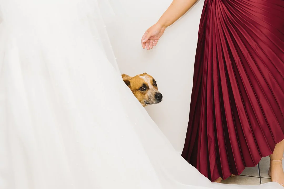 Mel T (1 of 1)-12.jpg