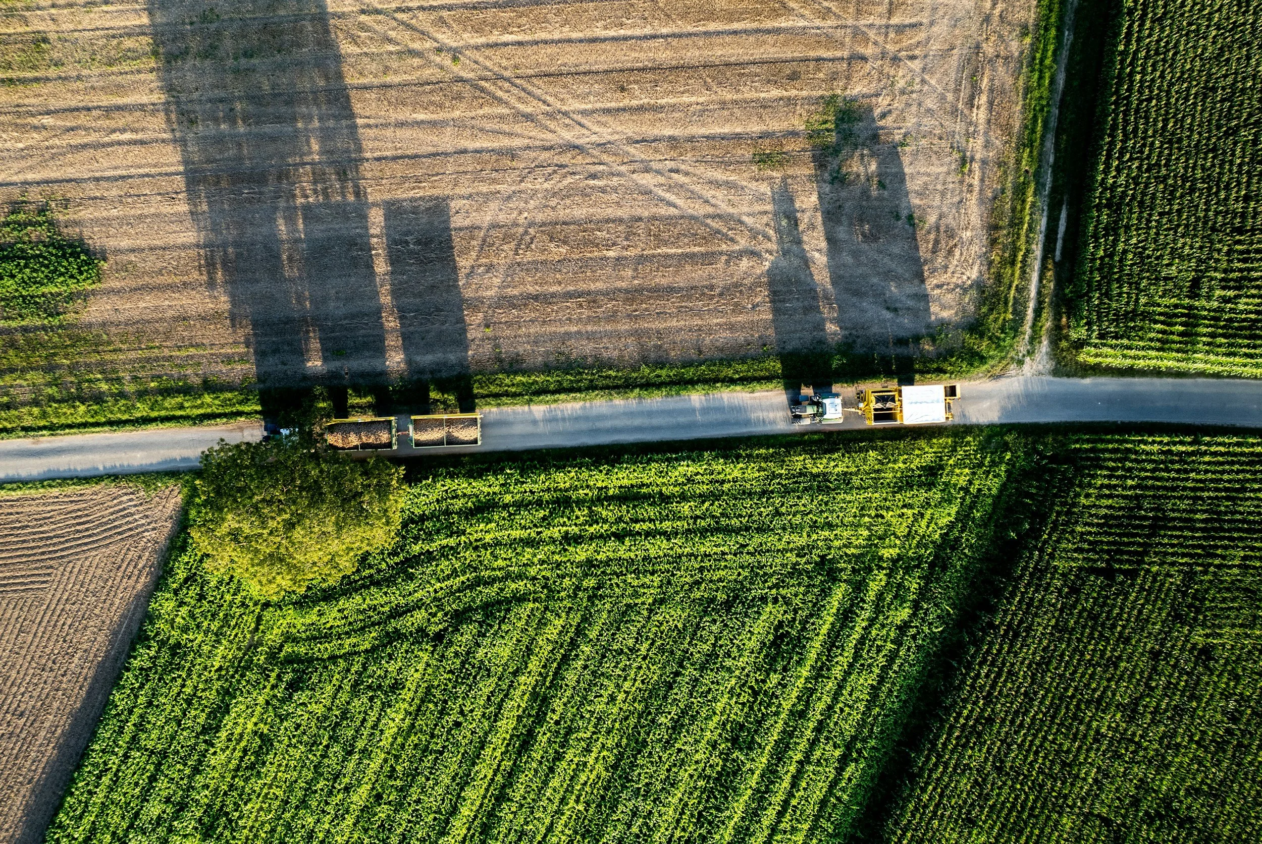 Transport trucks