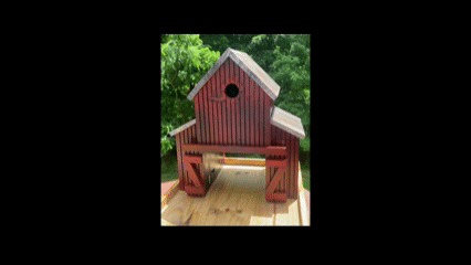 Barn video.gif