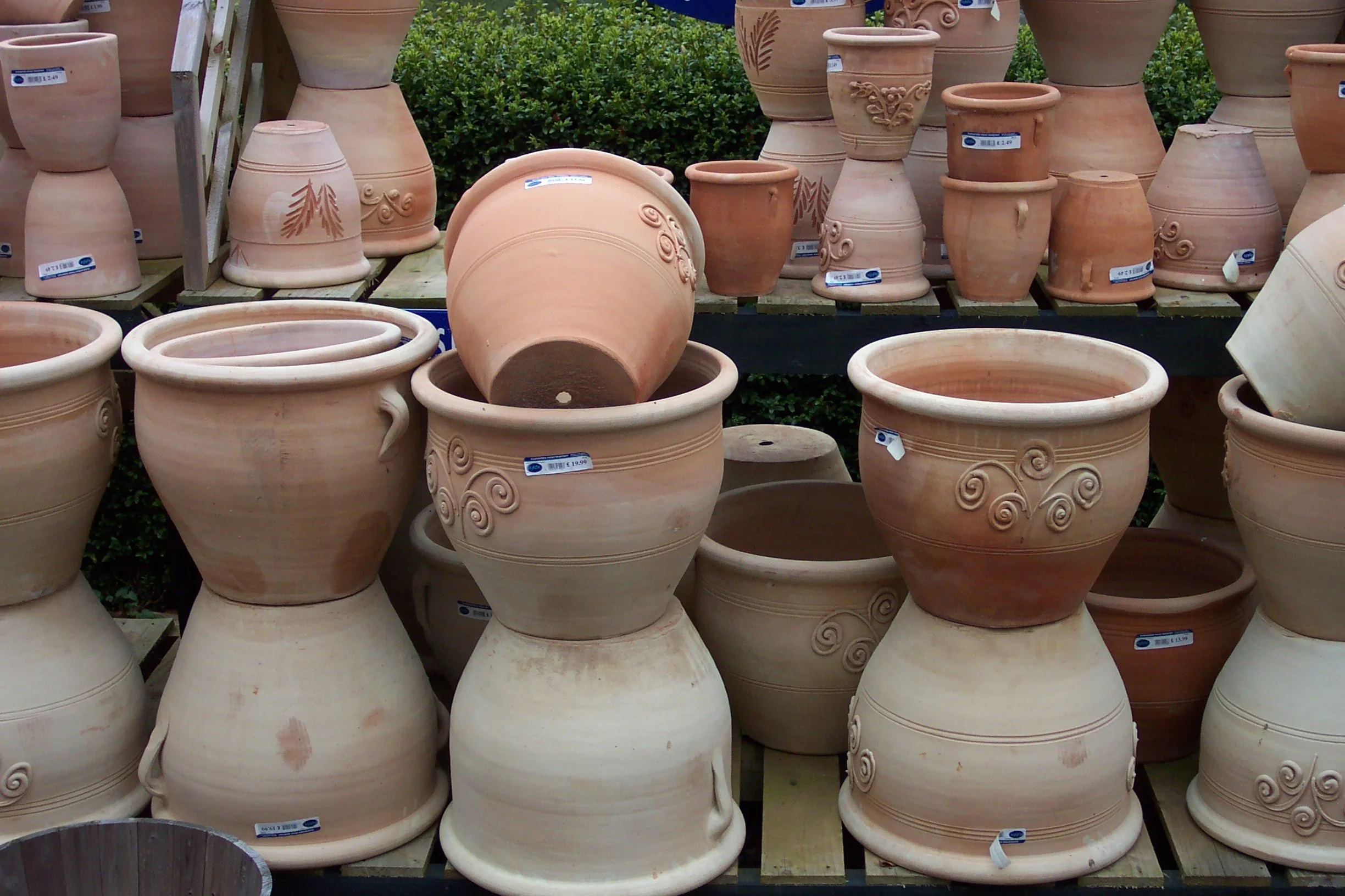 Seasonal Container Gardening