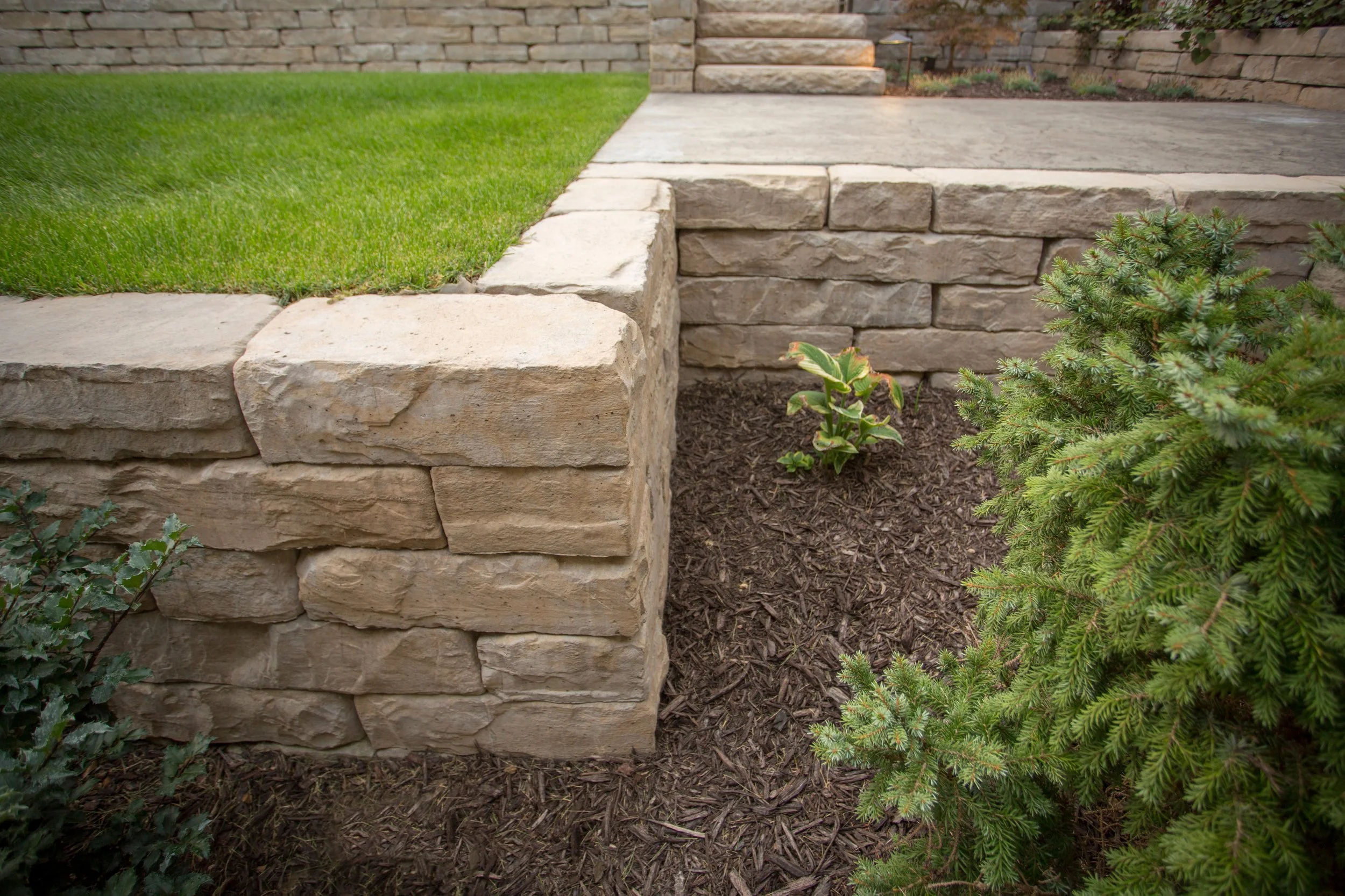 Kodah wall North Idaho Kimber.jpg