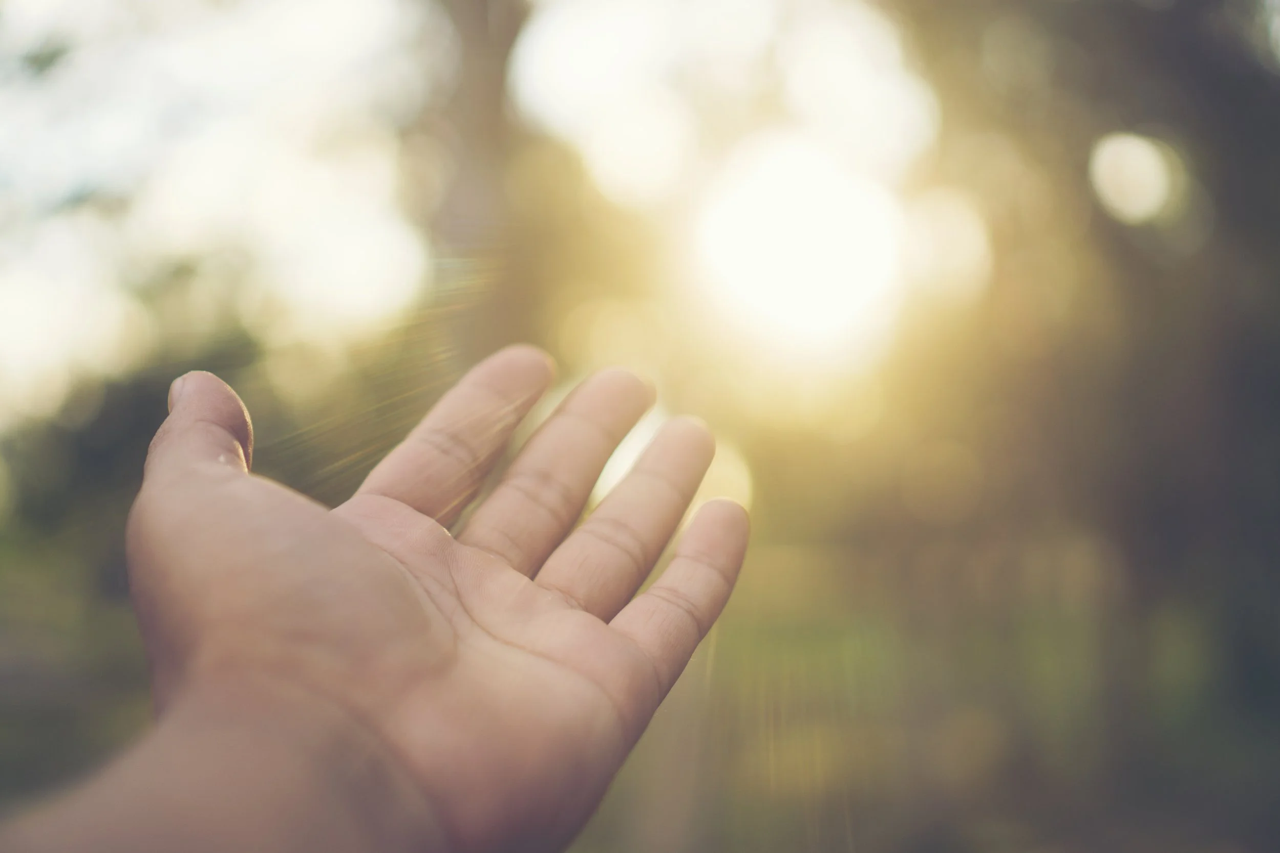 Beyond Survival: Reclaiming Your Original Design&nbsp;