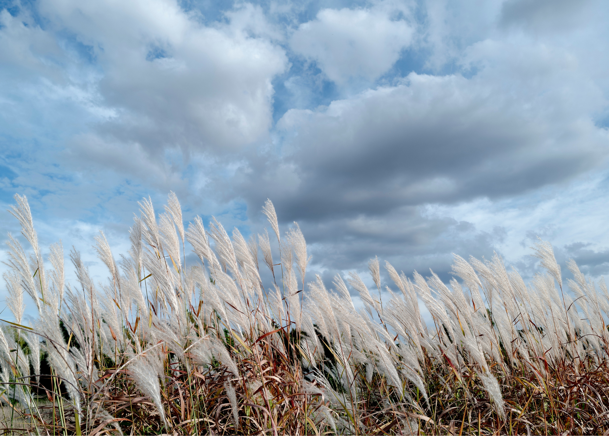 An image of our Coastal Luxe 