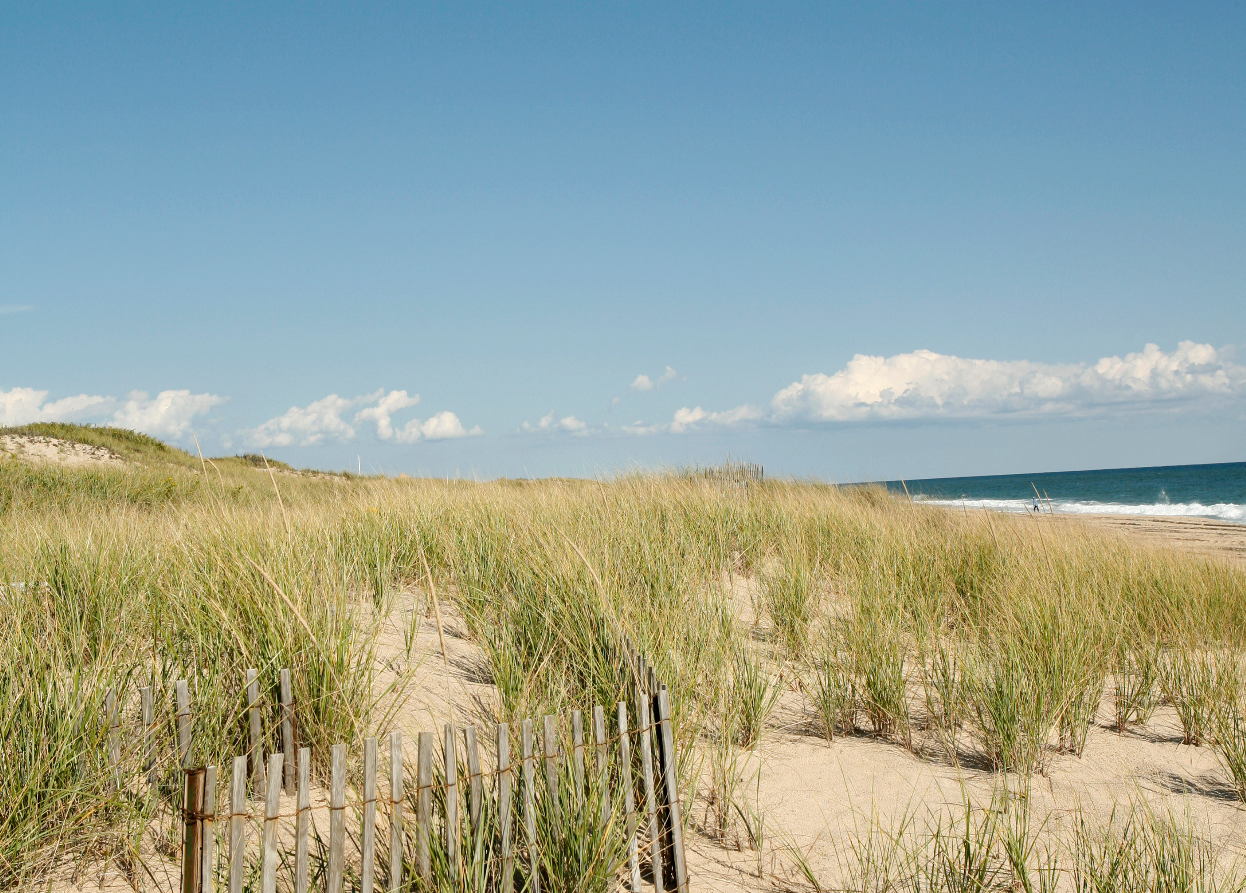 An image of Coastal-Inspired Living