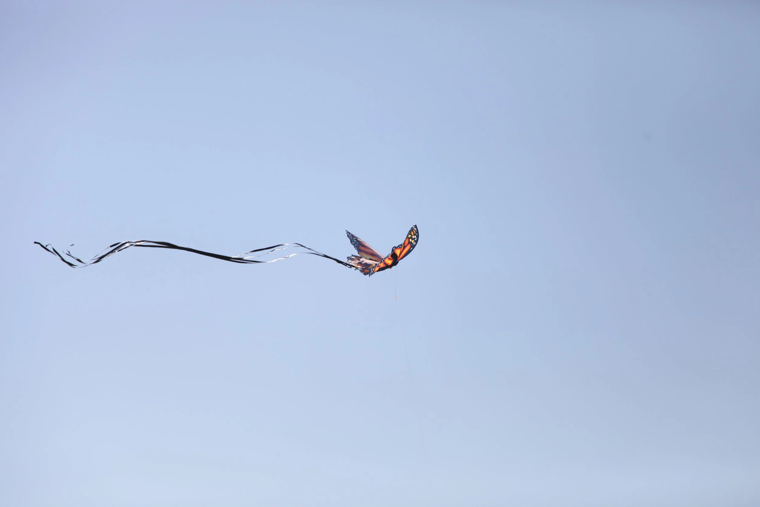 A monarch butterfly perched on a thin black wire against a pale blue sky.