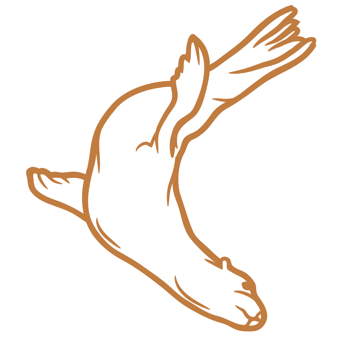 Selkie Tides Seal Illustration Diving