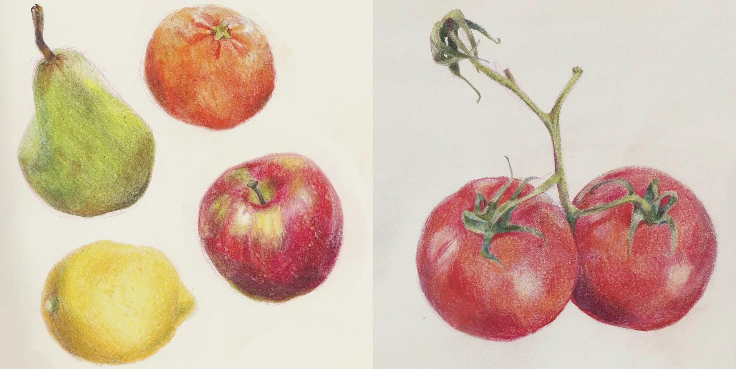 Produce studies.jpg