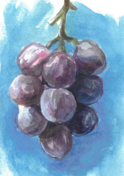 Watercolour painting of a bunch of purple grapes hanging from a vine on a blue background.