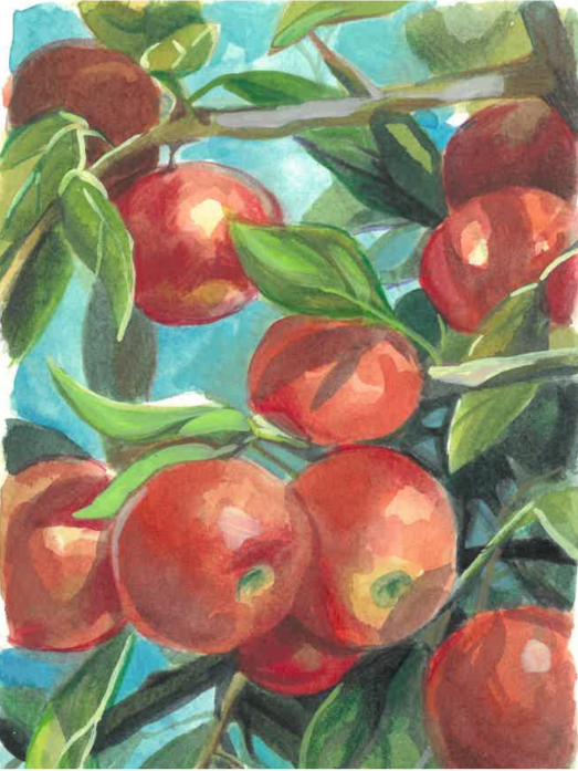 Watercolor painting of a branch with red apples and green leaves.