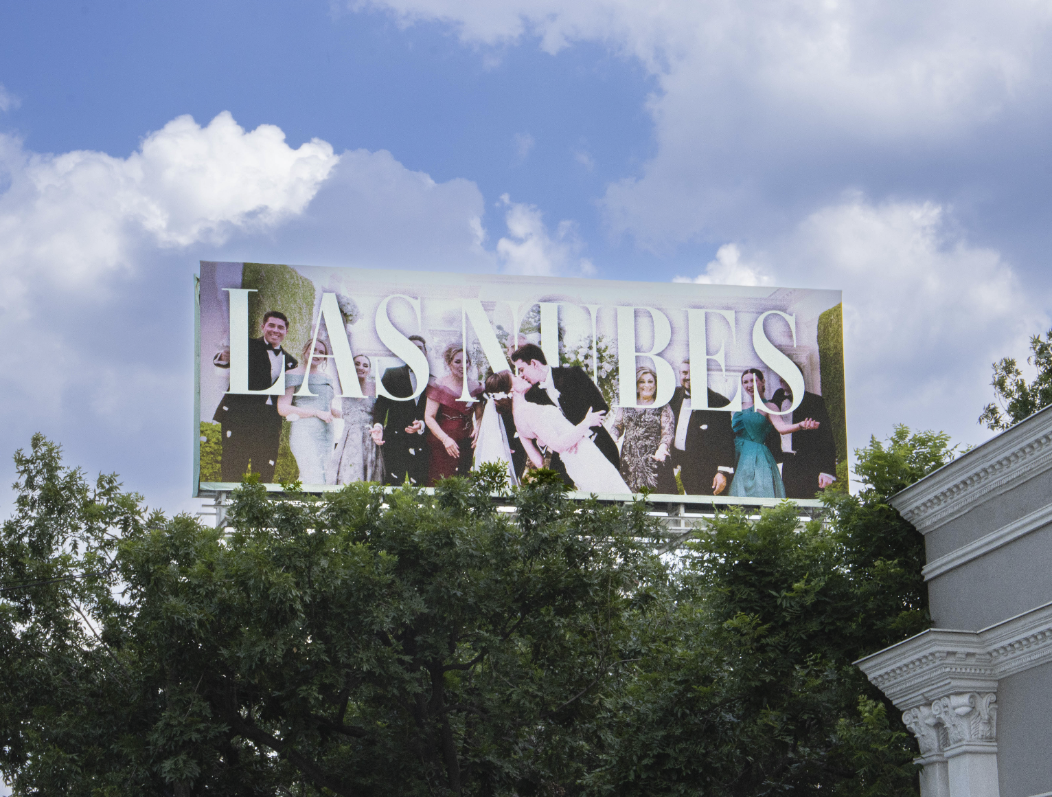 Cartel publicitario cen letras grandes y blancas, mostrando una boda con novios, damas y caballeros en un jardín.