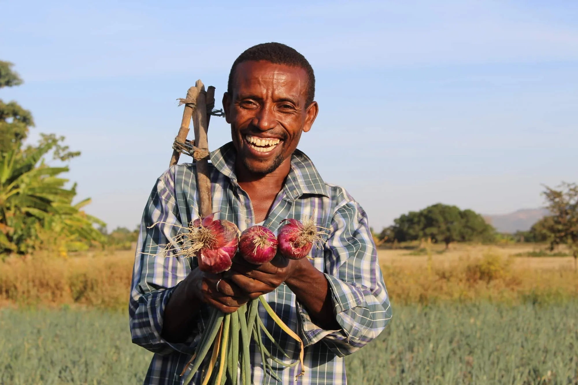 Smiling man in plaid shirt holding fresh red onions in a field with trees and clear blue sky in the background.