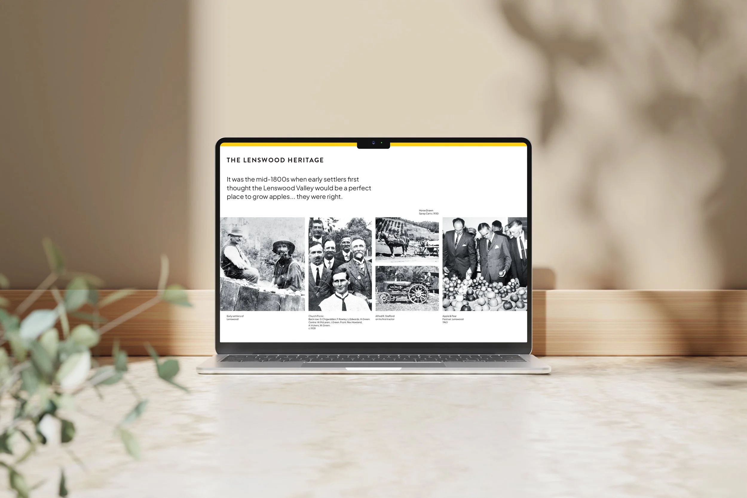 Laptop on a wooden desk displaying black and white historical photographs and text about the Lenswood Heritage, with a beige wall and a plant with green leaves in the foreground.