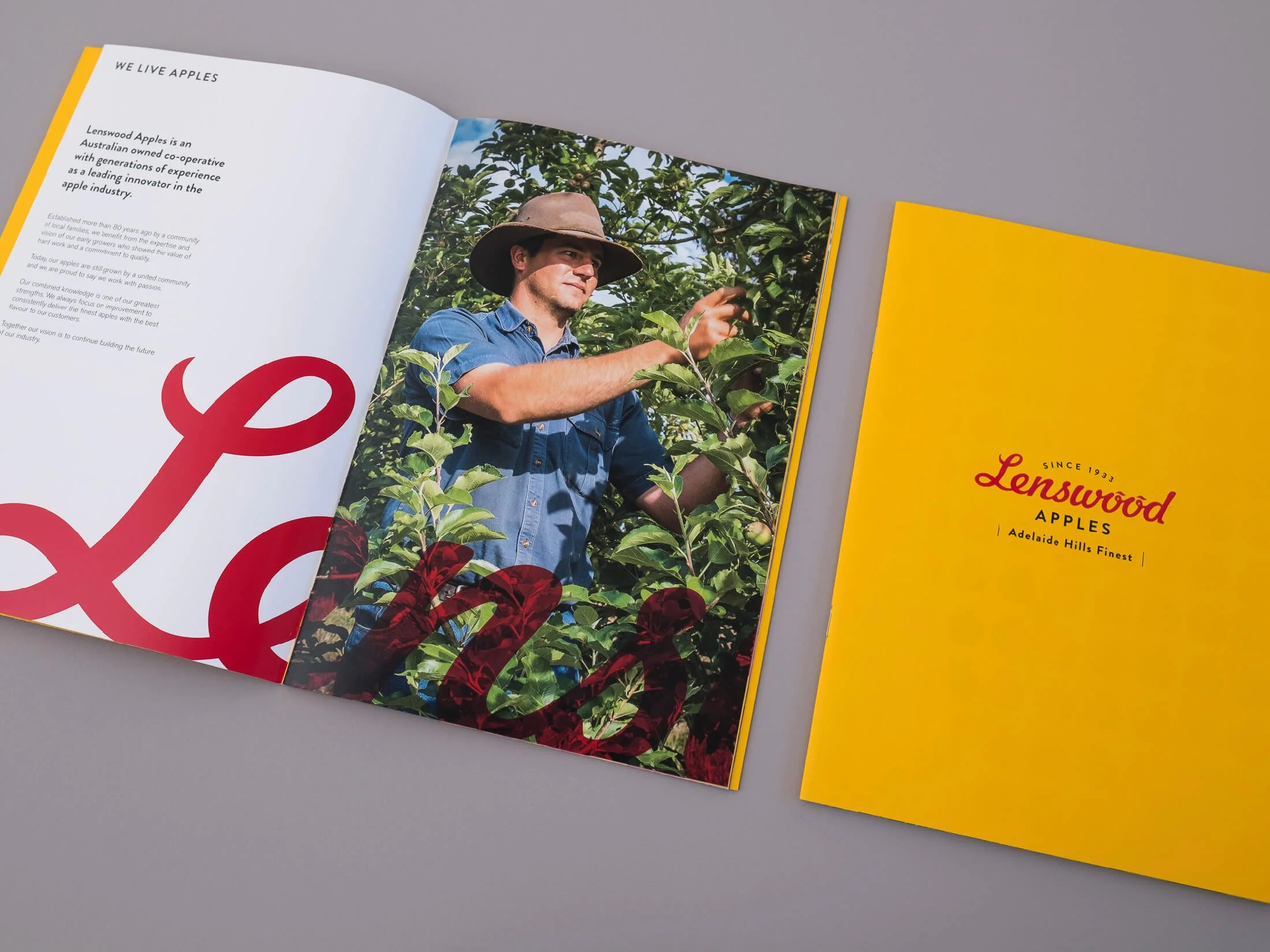 Open magazine showing a man in a wide-brimmed hat inspecting apple trees in an orchard, with branding for Lenswood Apples on a yellow page.
