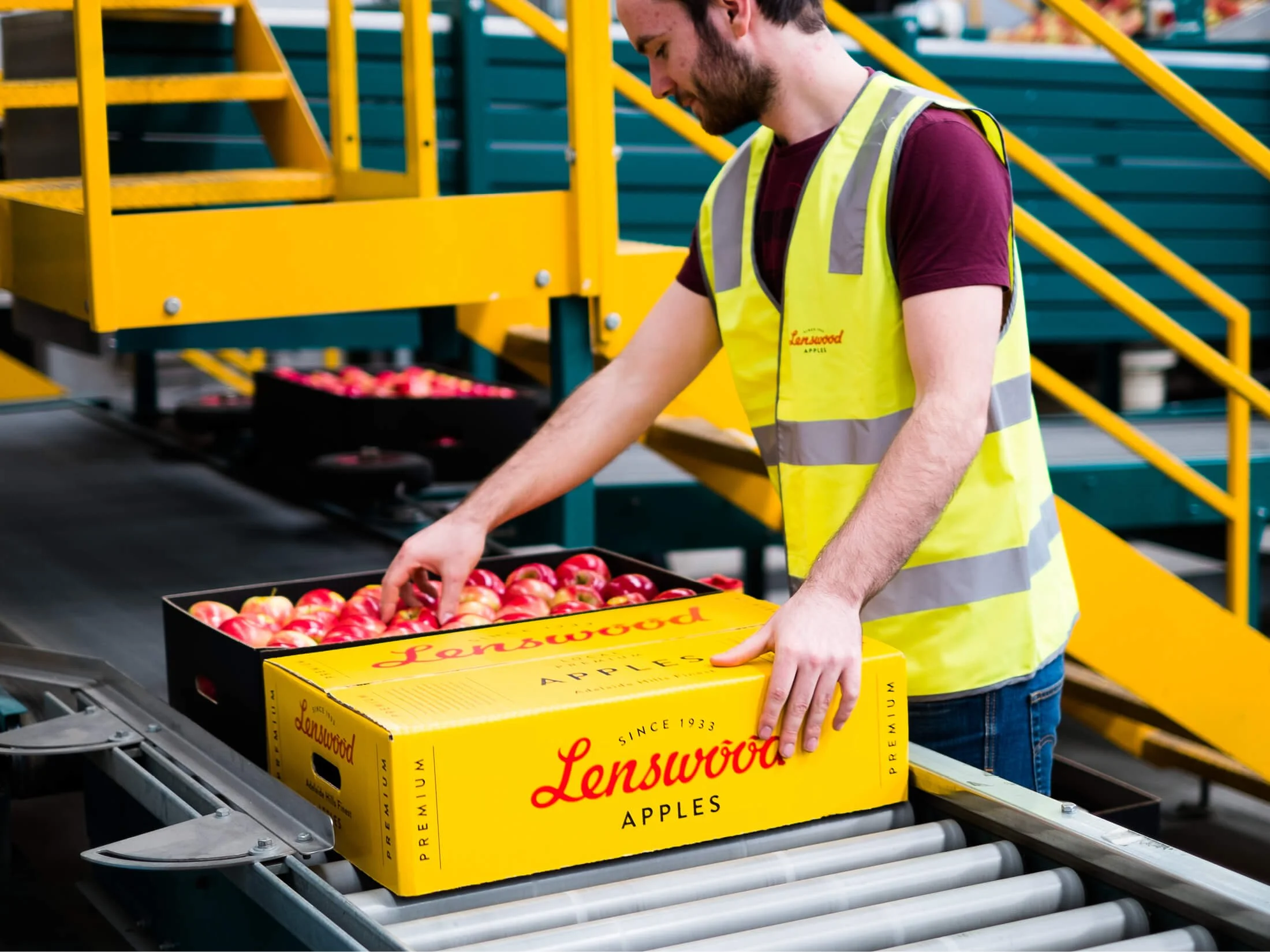 A worker in a yellow safety vest loading a box of red apples onto a conveyor belt in an apple processing facility.