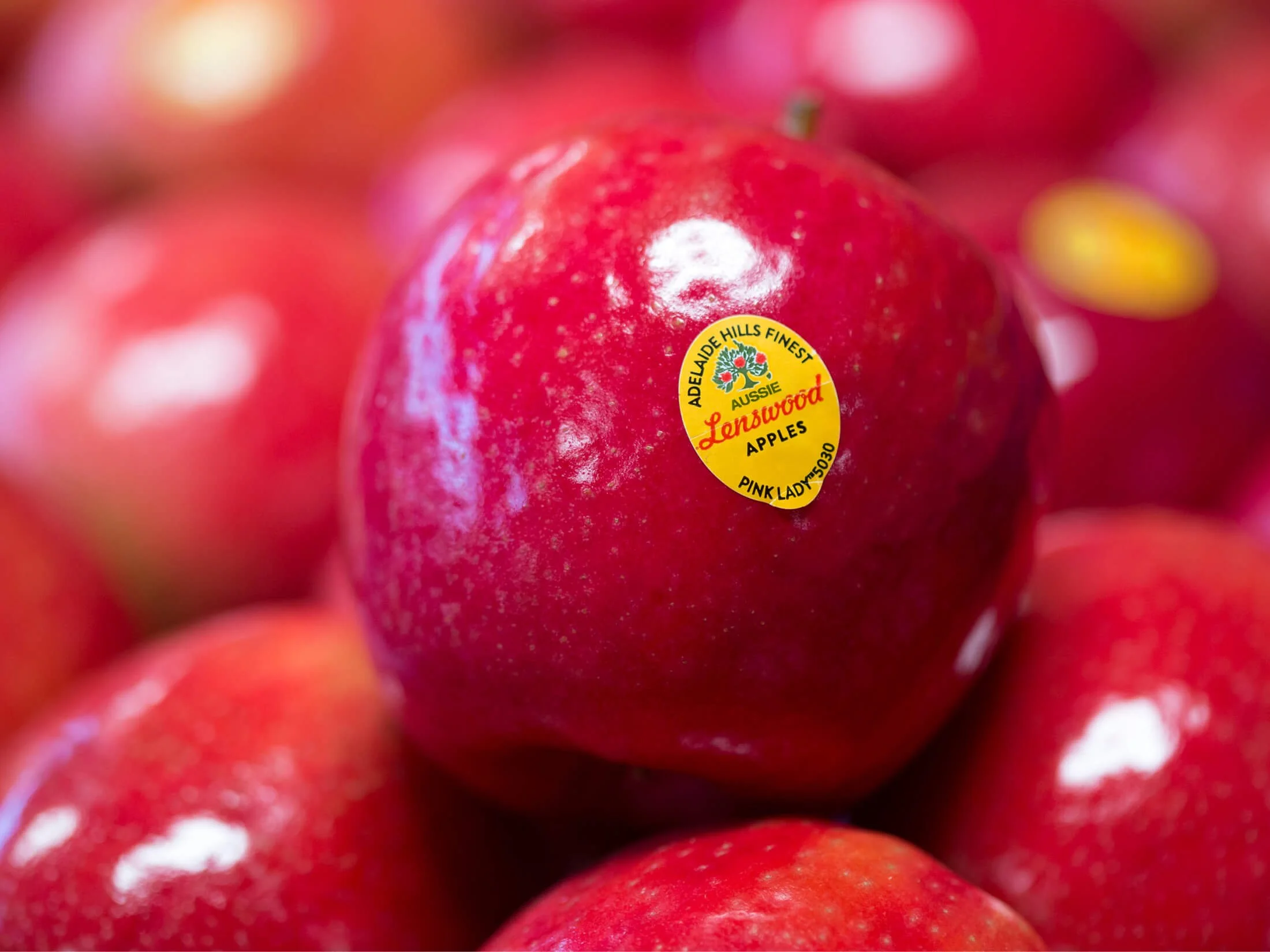 Lenswood Apples Pink Lady — brand sticker and produce identity, Influx Creative