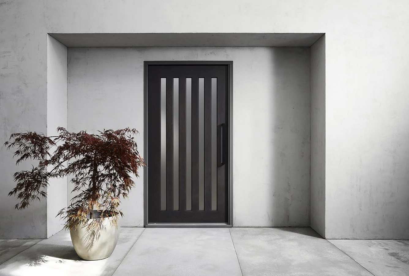 Modern black door with vertical slats and a handle, set in a minimalist concrete wall. A potted Japanese maple tree with reddish leaves is placed to the left of the door.