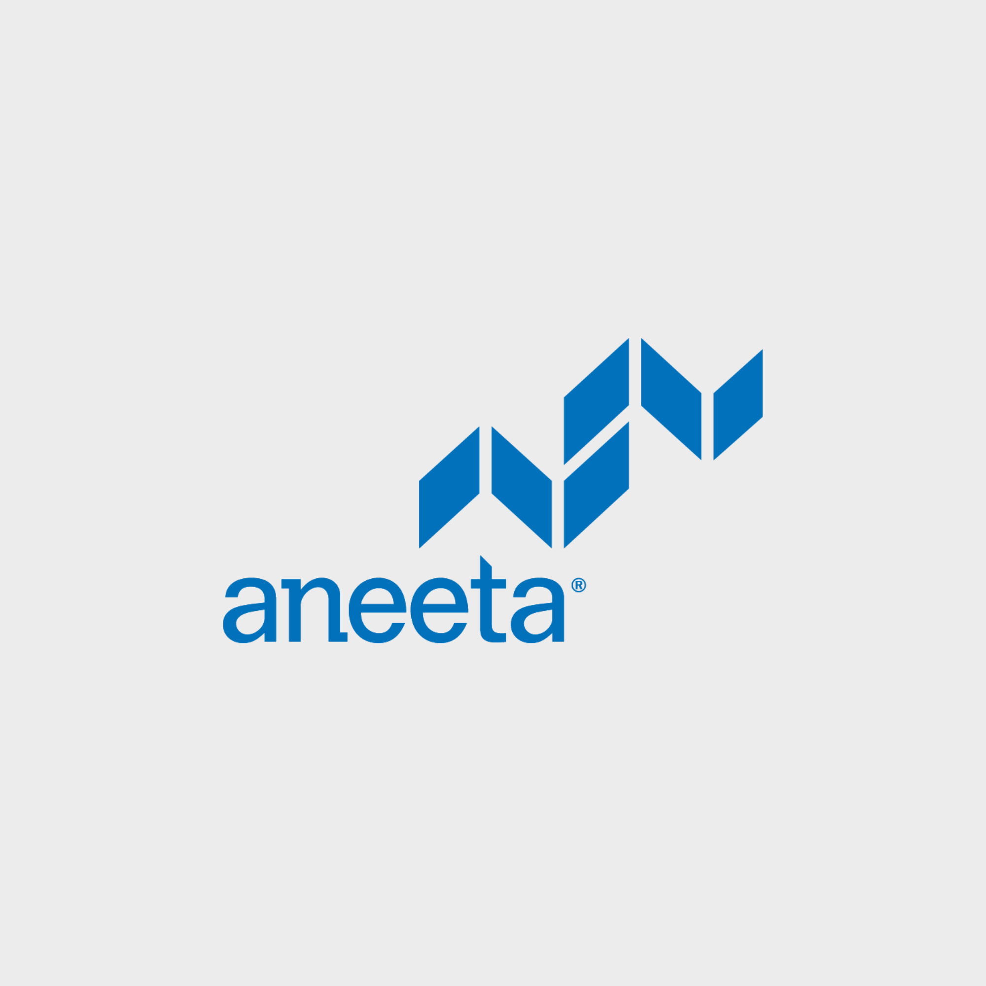 Logo of Aneeta, featuring a stylized blue geometric arrow design with the company name 'aneeta' in lowercase blue letters below.