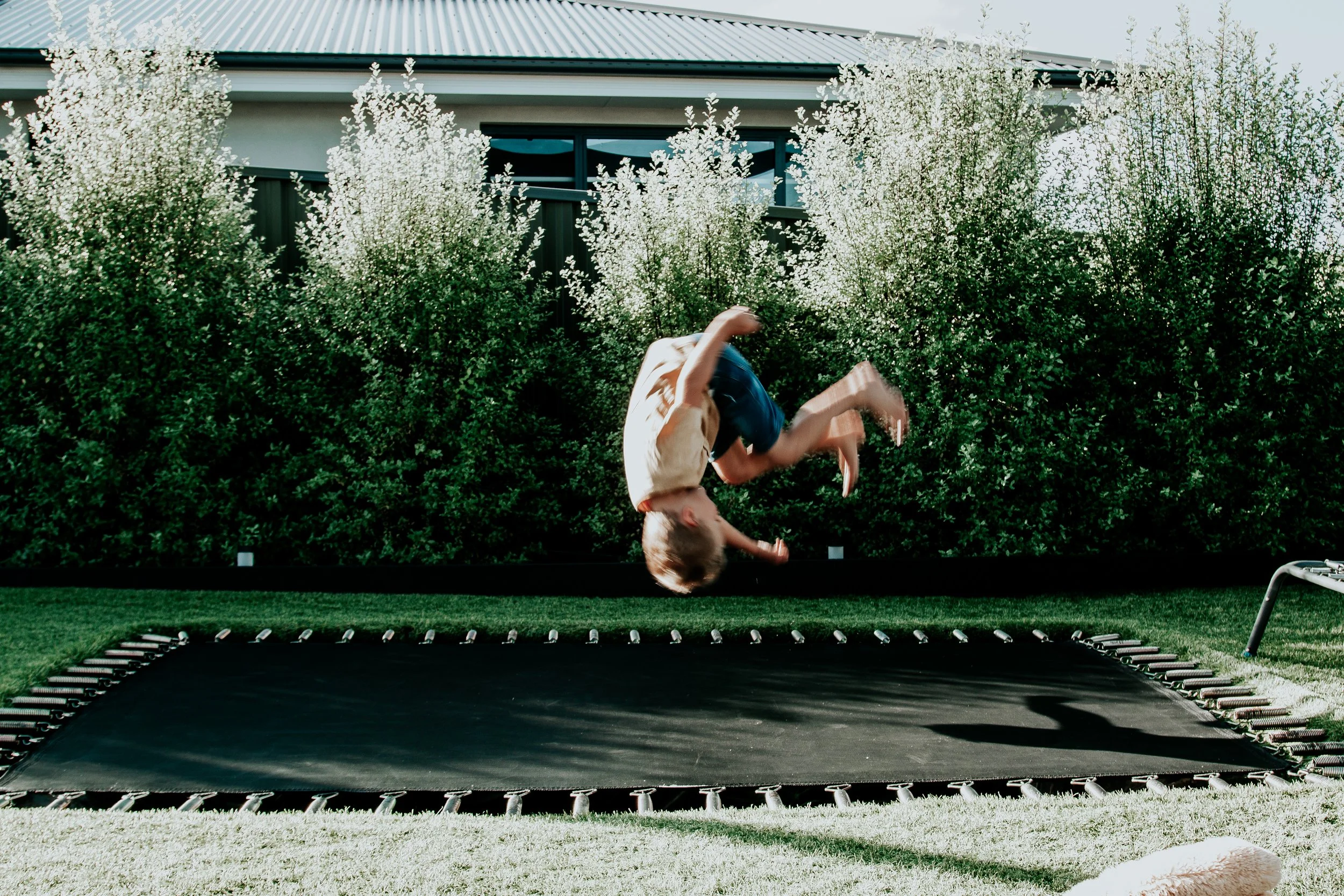 The Difference Between Behaviour Support and Therapy