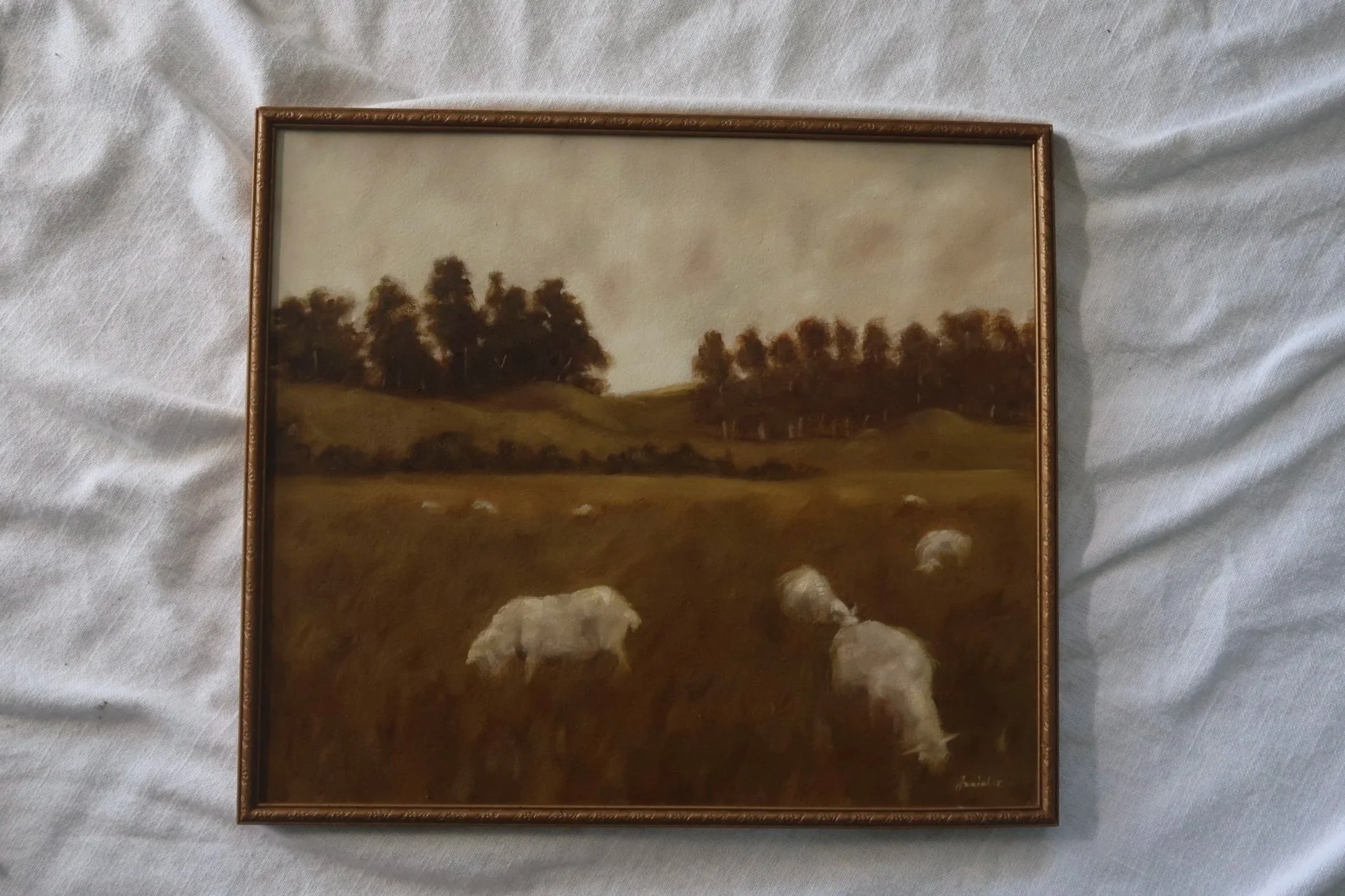 'Grazing in Golden Light'