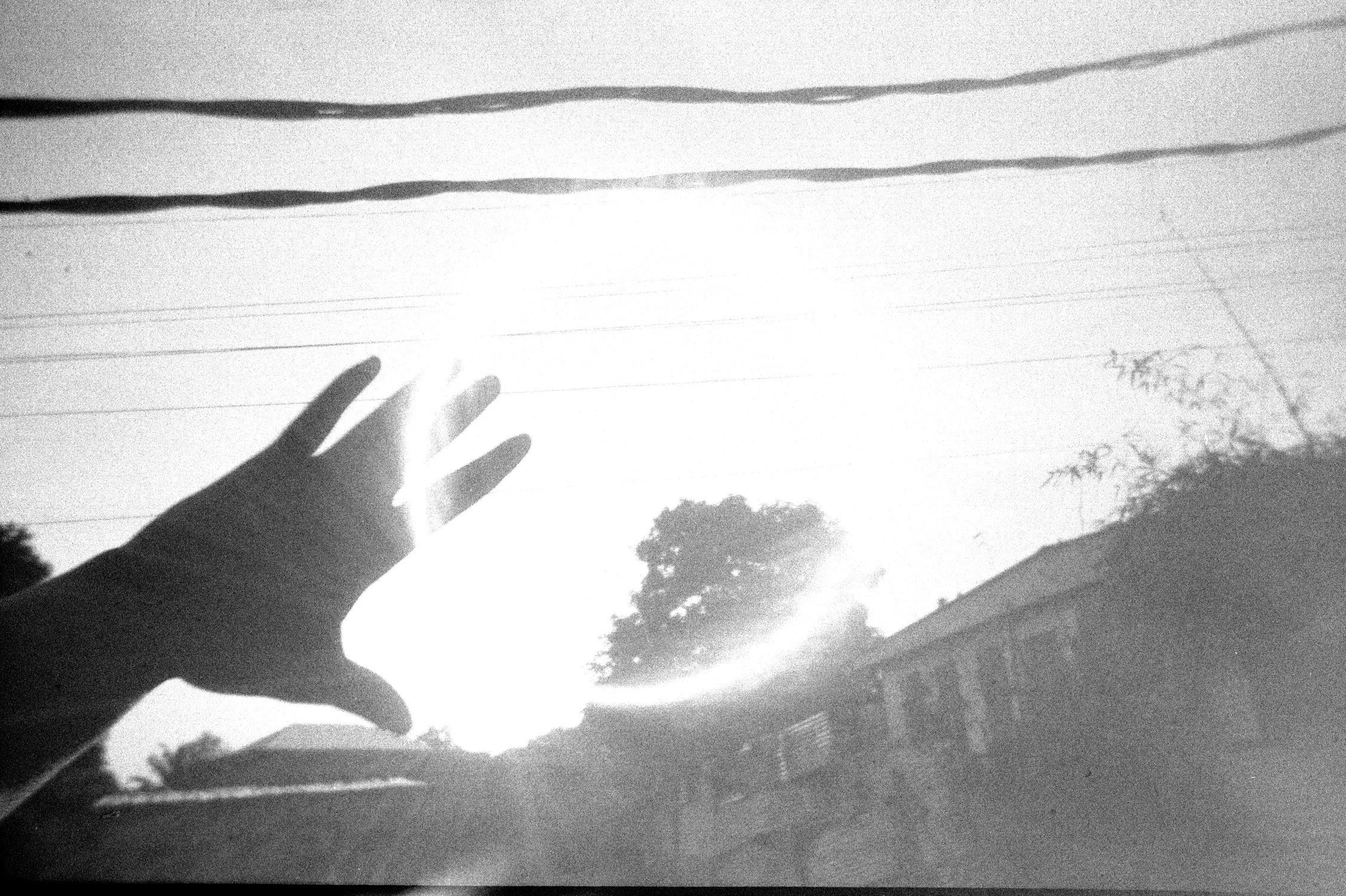 A person's hand reaching towards the sky during sunset or sunrise, with power lines and trees in the background, in black and white.