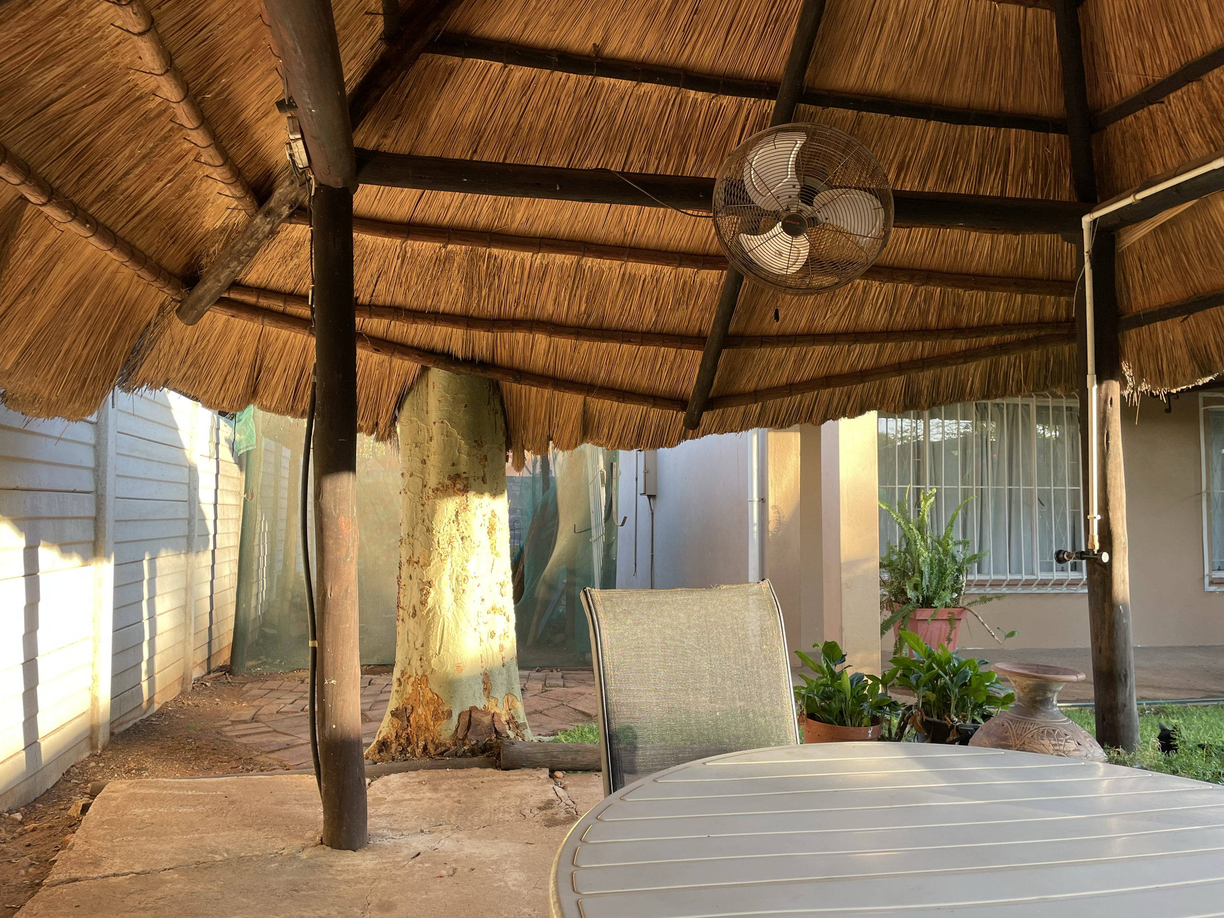 An outdoor patio area with a thatched roof supported by wooden beams. A wall-mounted fan is hanging from the ceiling. There are several potted plants and a glass table with chairs.
