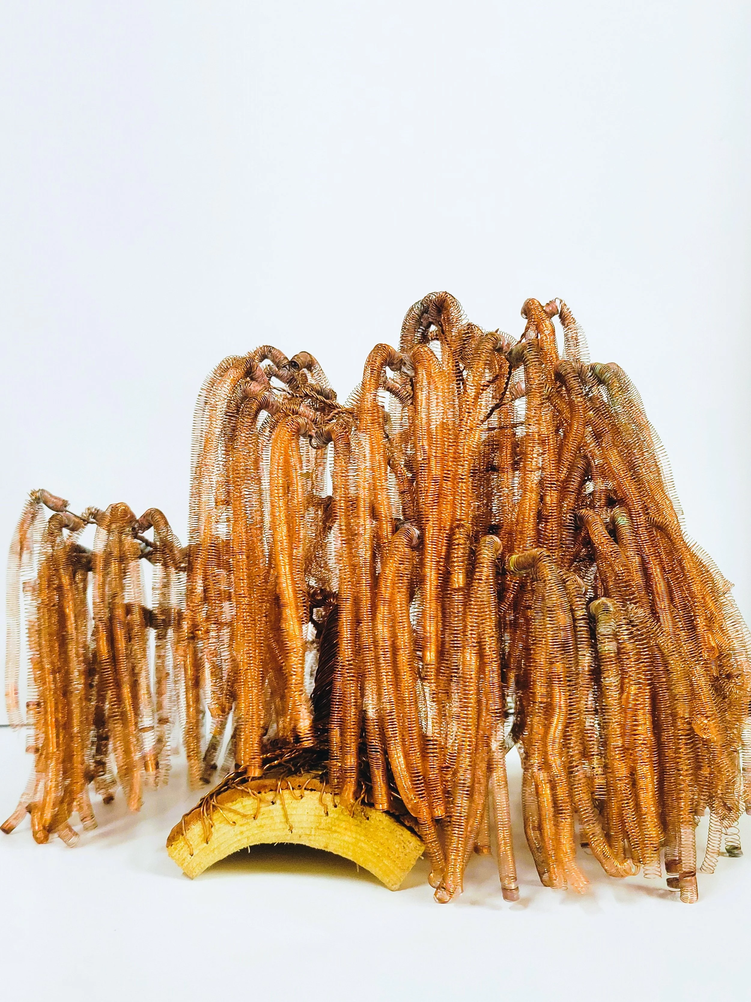 A pile of dried, brown millipedes on a white background with a piece of banana for scale.