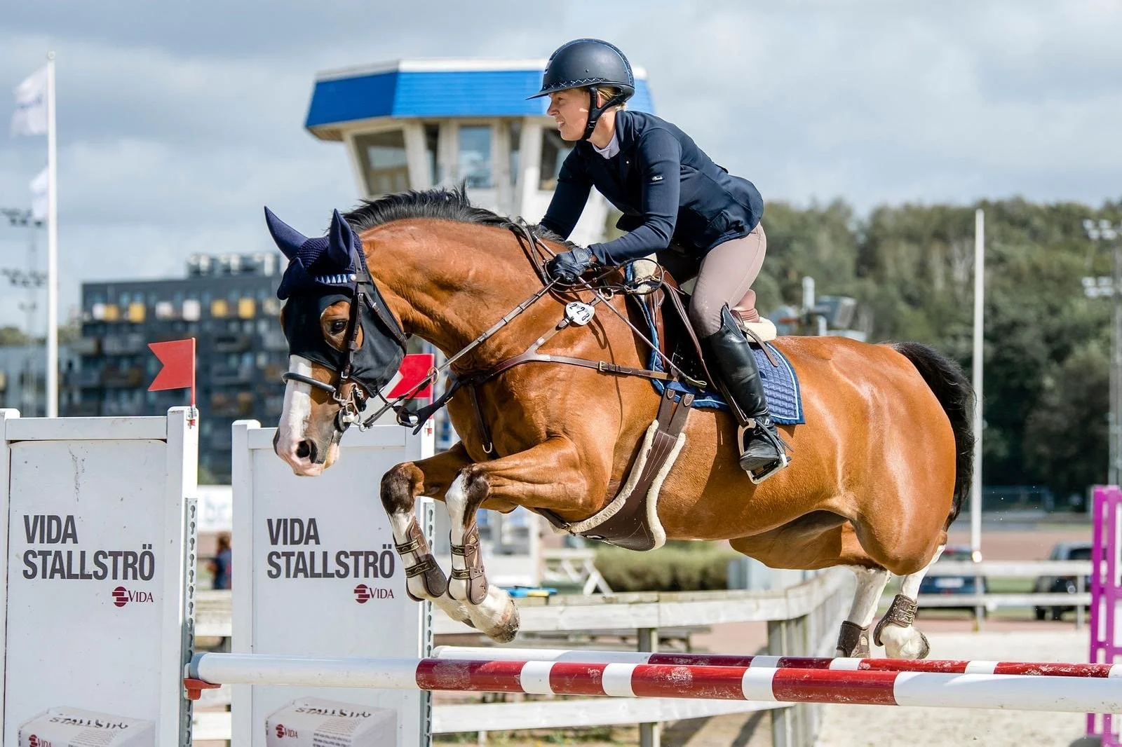 A jockey riding a brown horse jumps over a red and white obstacle during an equestrian jumping event at Vida Stallström.