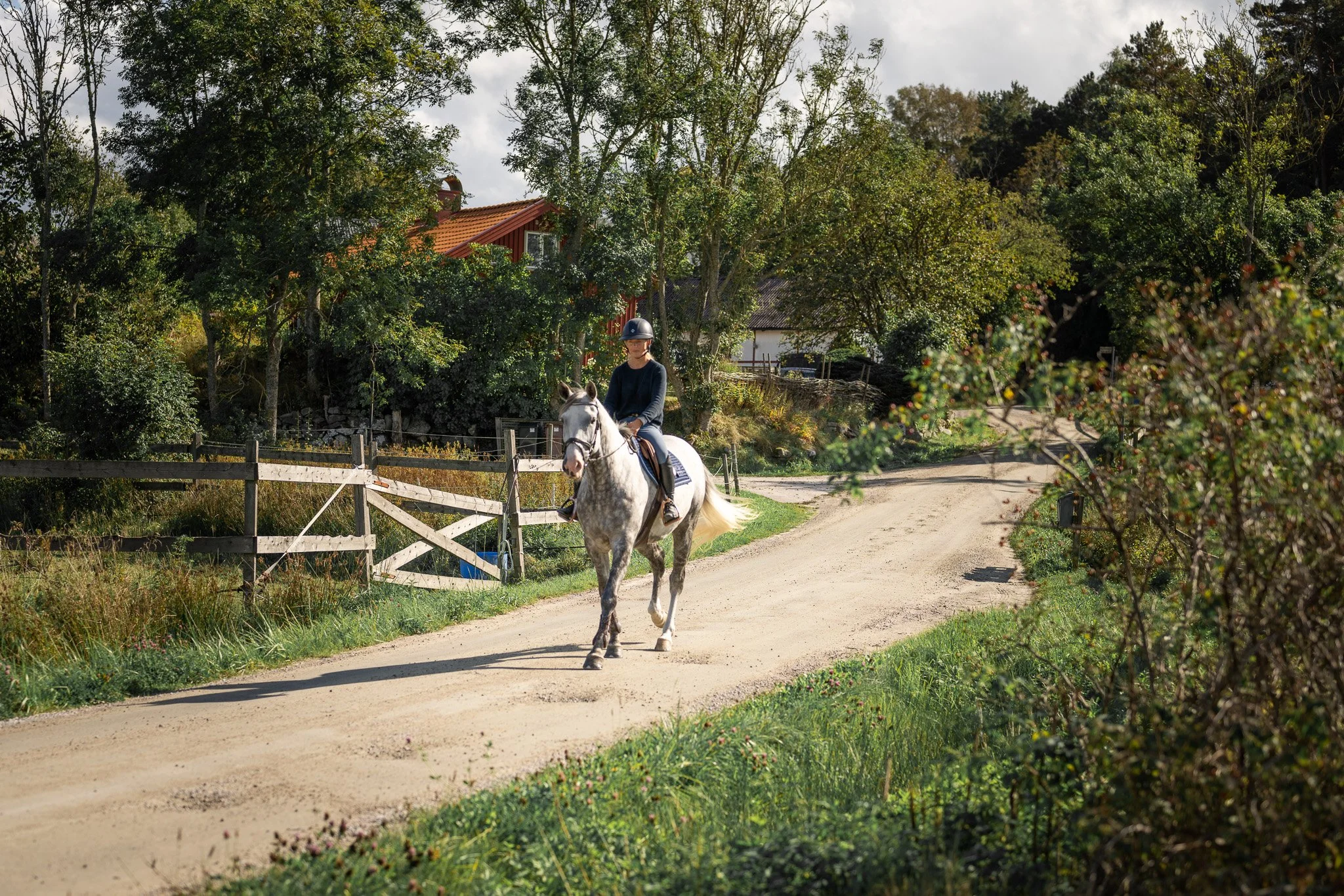 A person riding a white horse on a dirt road in a rural area, with trees, a fence, and houses in the background.