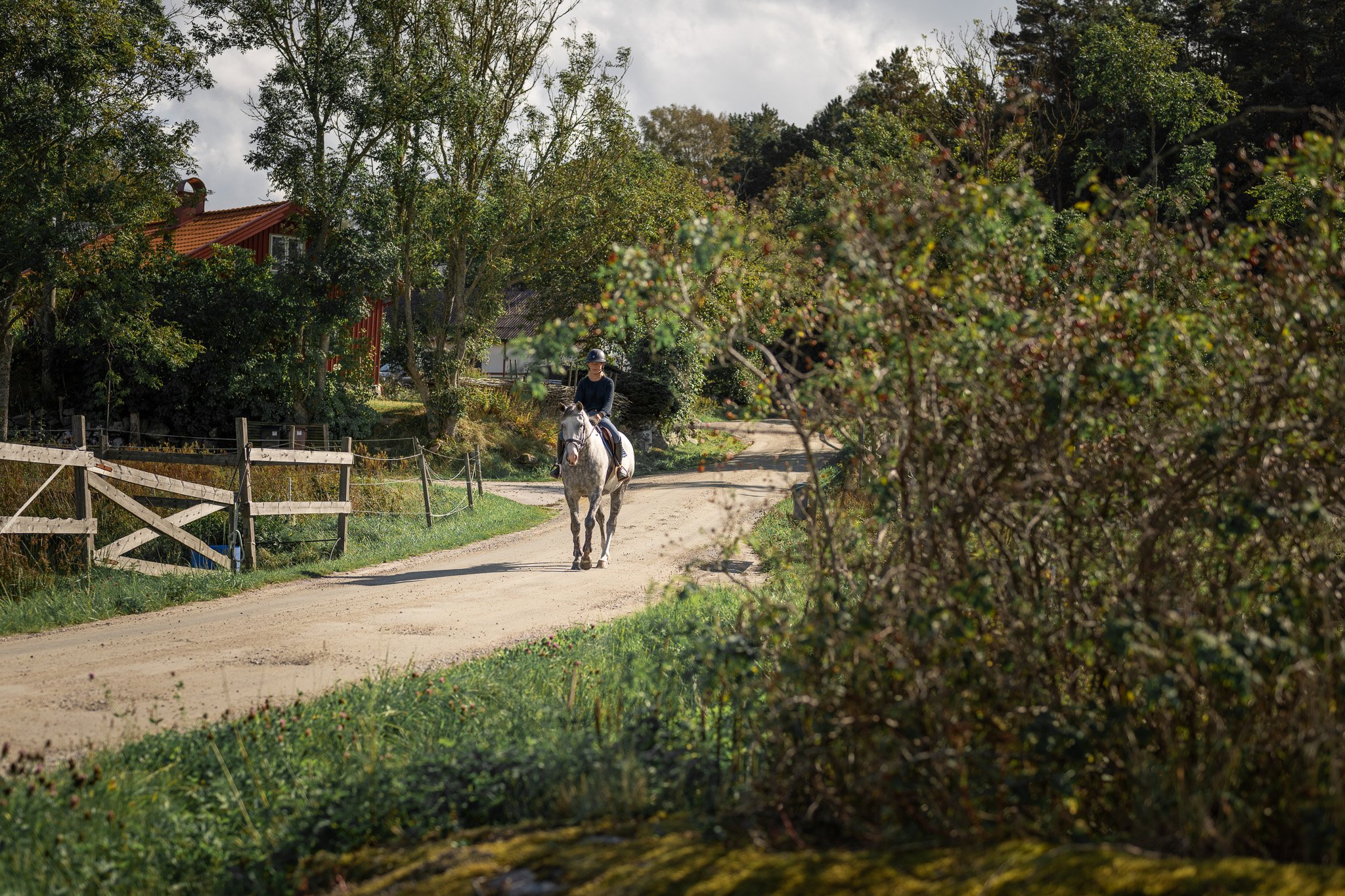 A person riding a white horse on a dirt trail in a rural area with trees and a small red house in the background.