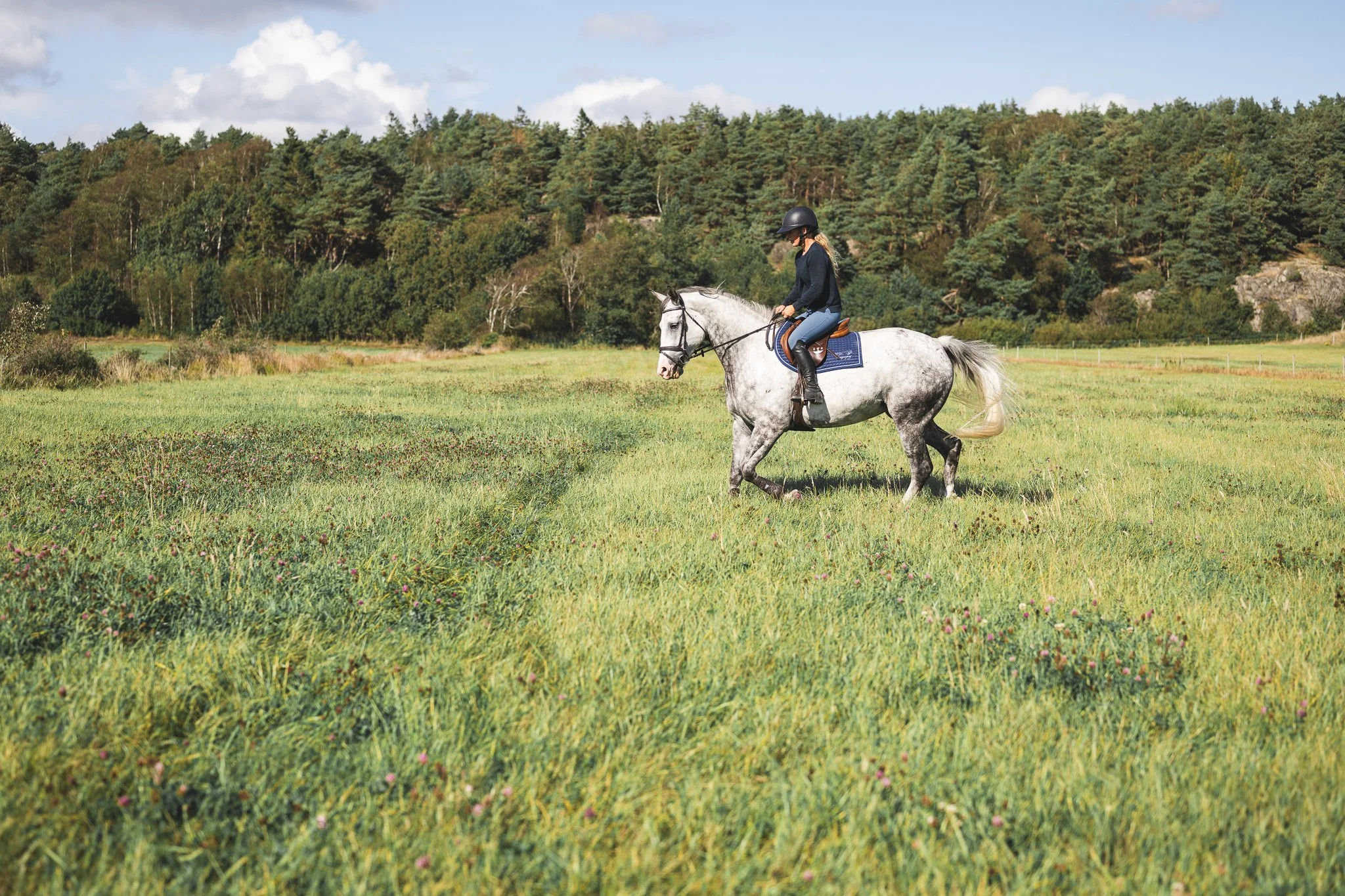 A woman riding a gray horse across a grassy field with a forested hillside in the background.