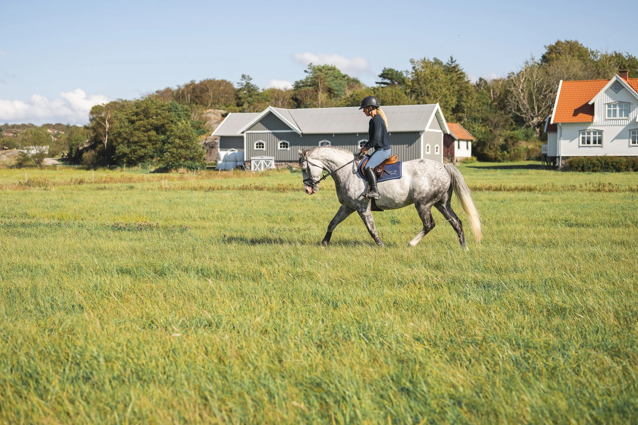 Woman riding a gray horse in a grassy field with farmhouses and trees in the background on a sunny day.