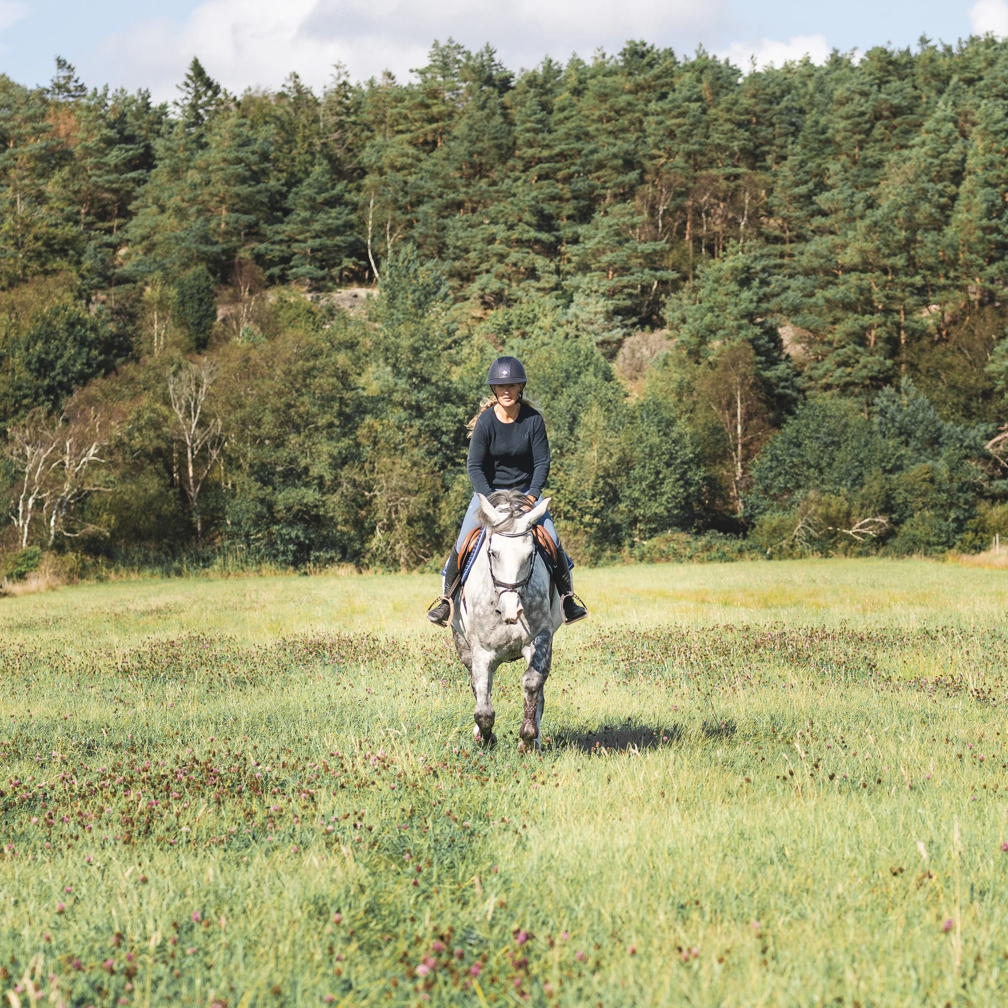 A woman riding a white horse across a grassy field with a forest background.