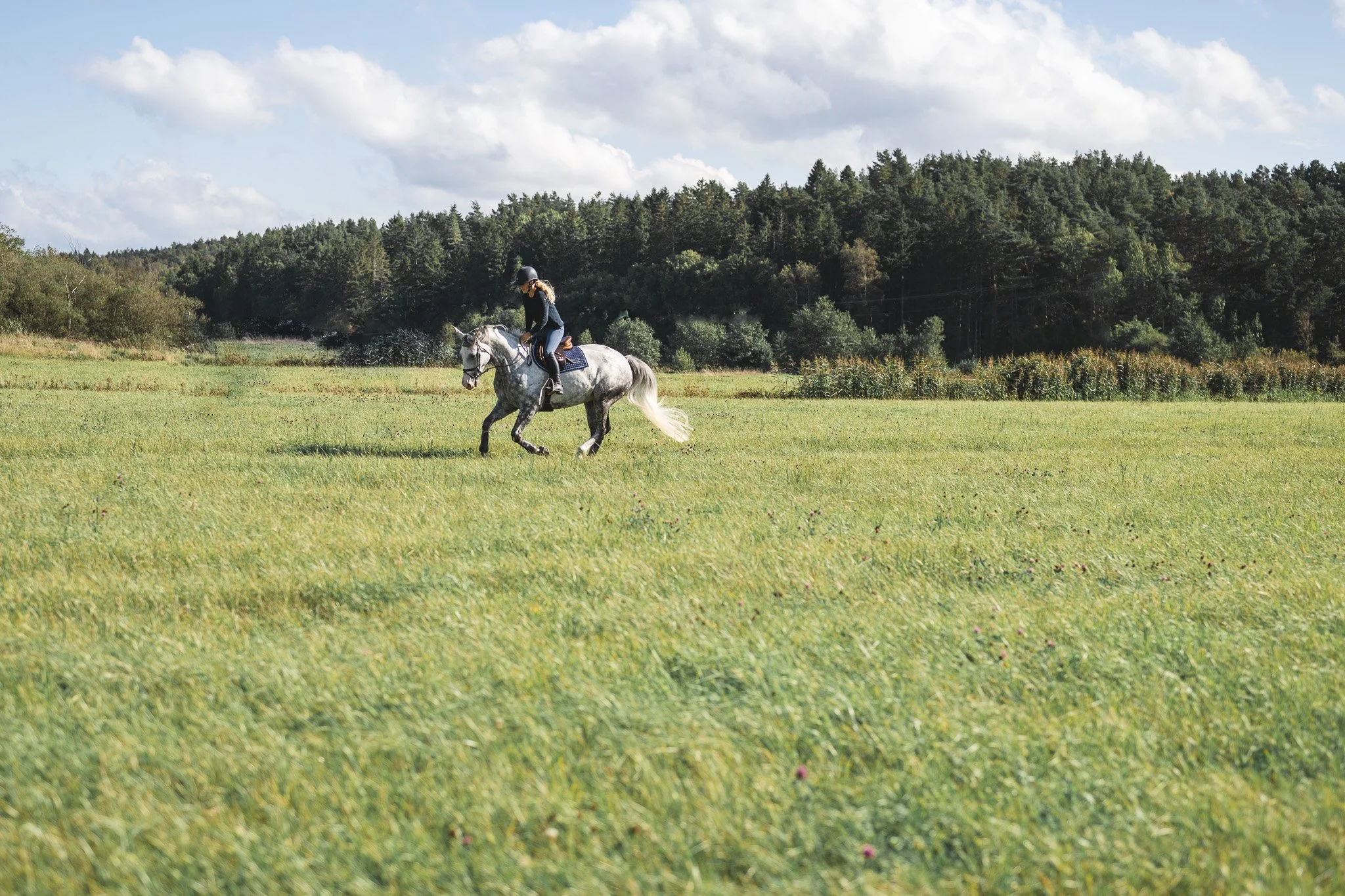 A girl riding a grey horse across a green field with trees and a blue sky in the background.