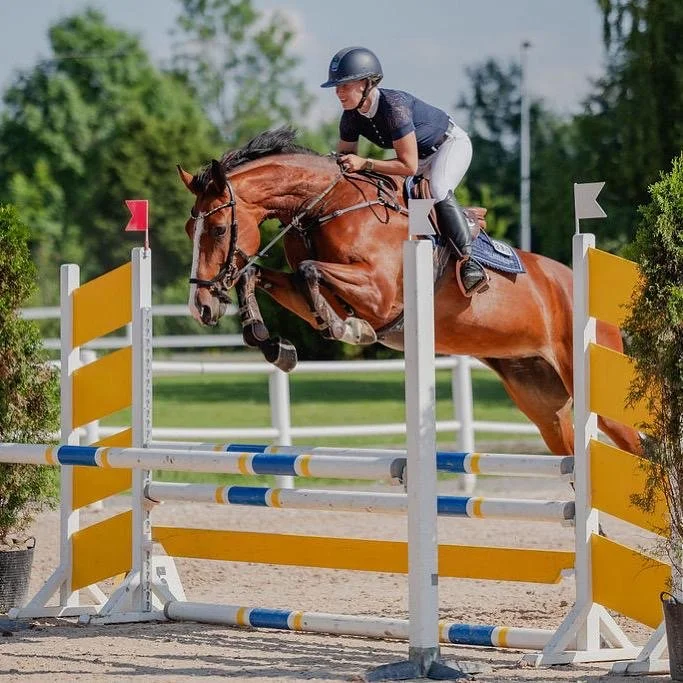 A rider in a black helmet and shirt riding a brown horse jumps over a colorful obstacle in an outdoor equestrian arena, with green trees and a white fence in the background.