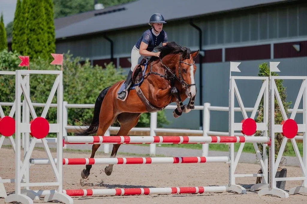 A rider and a horse jumping over a red and white obstacle during a show jumping event on a sandy arena.