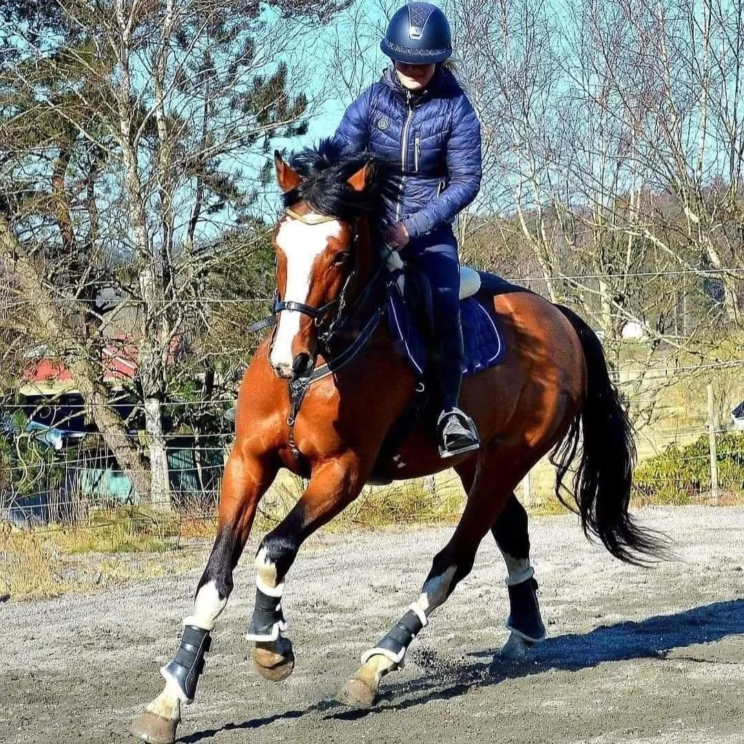 A person wearing a blue jacket and riding helmet riding a brown horse with white patches in an outdoor area with trees and a fence.