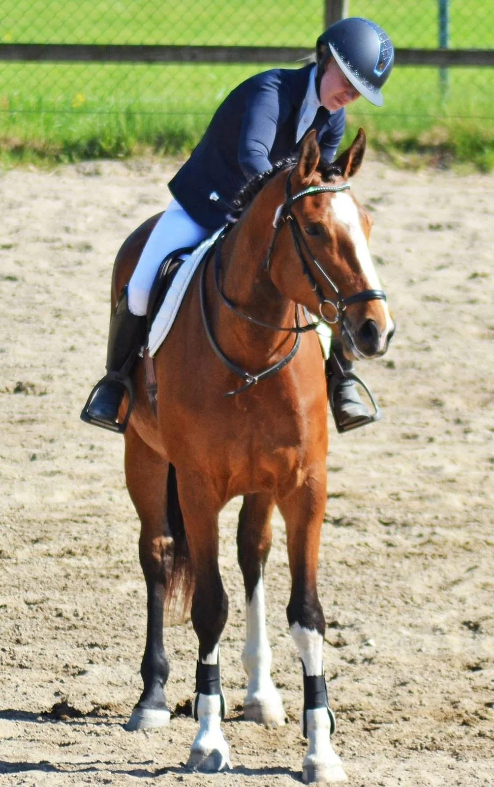 A person wearing a helmet and riding attire riding a brown horse in an outdoor arena with a grassy background.