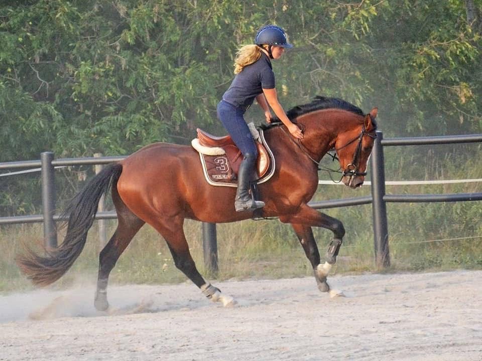 A woman dressed in a black helmet, black shirt, and jeans riding a galloping brown horse on a dirt track.